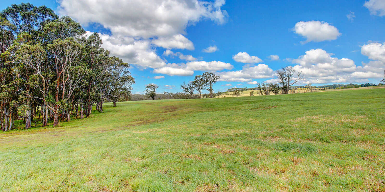 Owls Ridge 140 Foxgrove Road Canyonleigh