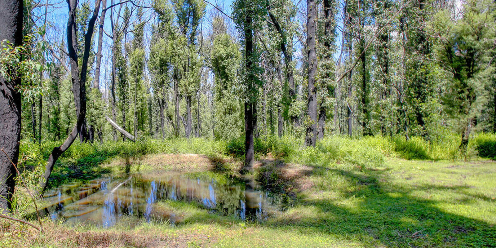 411 Spring Hill Road Meryla 411 Spring Hill Road Meryla