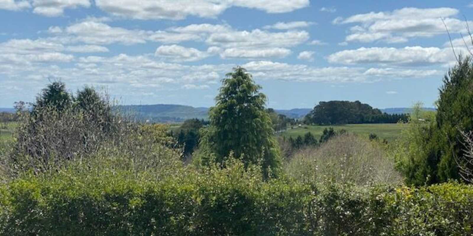 19 Yarwood Drive Exeter 19 Yarwood Drive Exeter