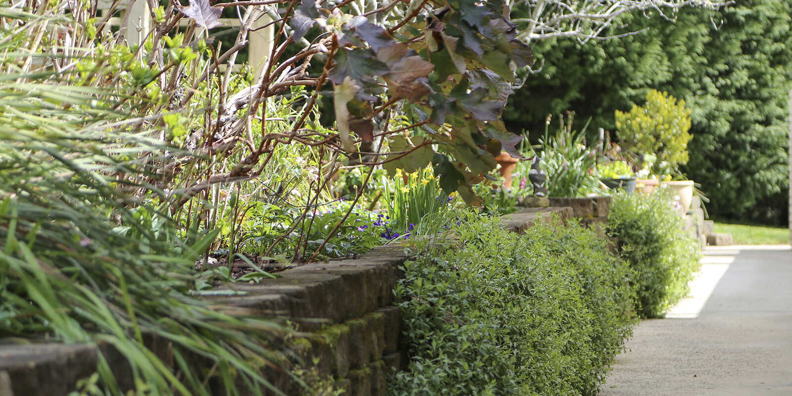 19 Yarwood Drive Exeter 19 Yarwood Drive Exeter