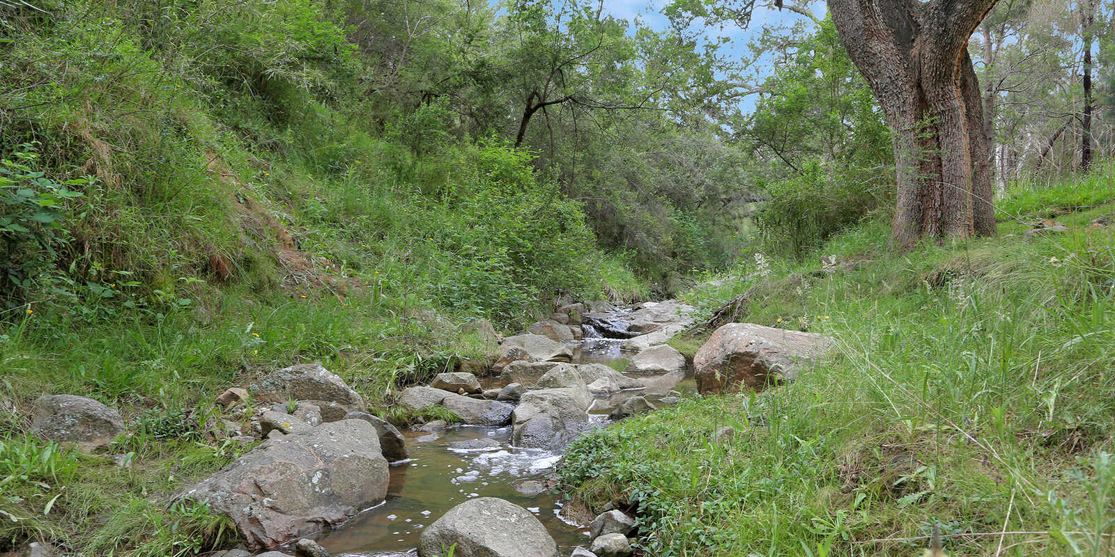271 Pulpit Rock Road Bullio 271 Pulpit Rock Road Bullio