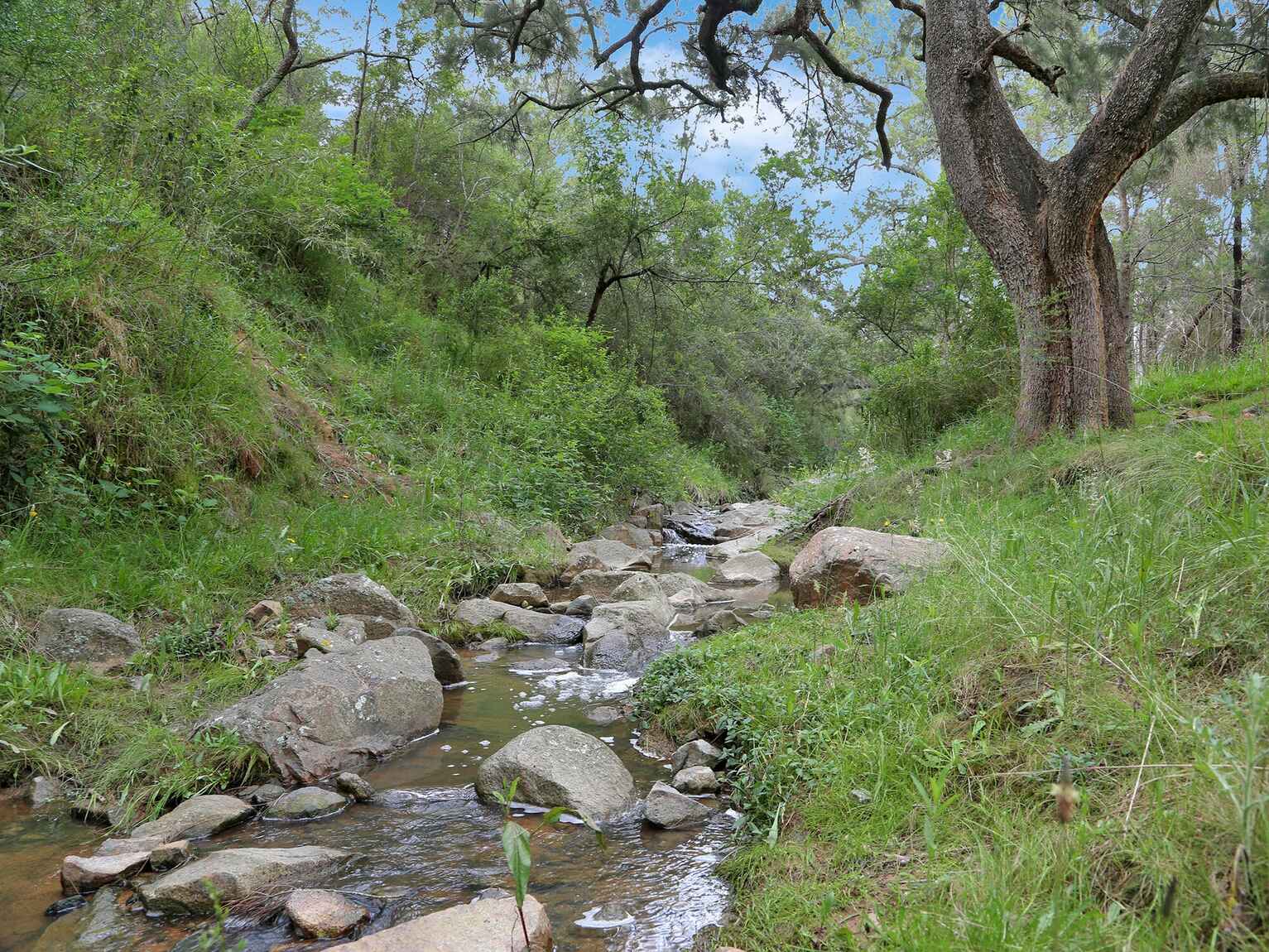 271 Pulpit Rock Road Bullio 271 Pulpit Rock Road Bullio