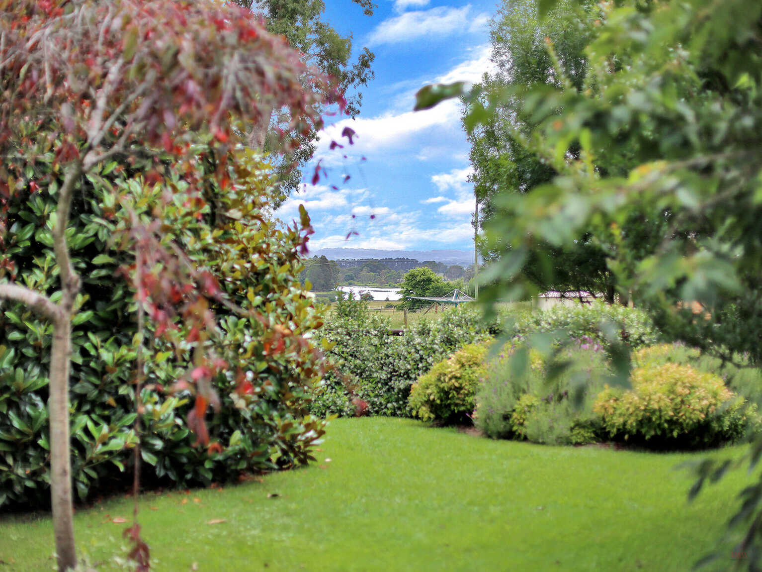20 Victor Crescent Moss Vale 20 Victor Crescent Moss Vale