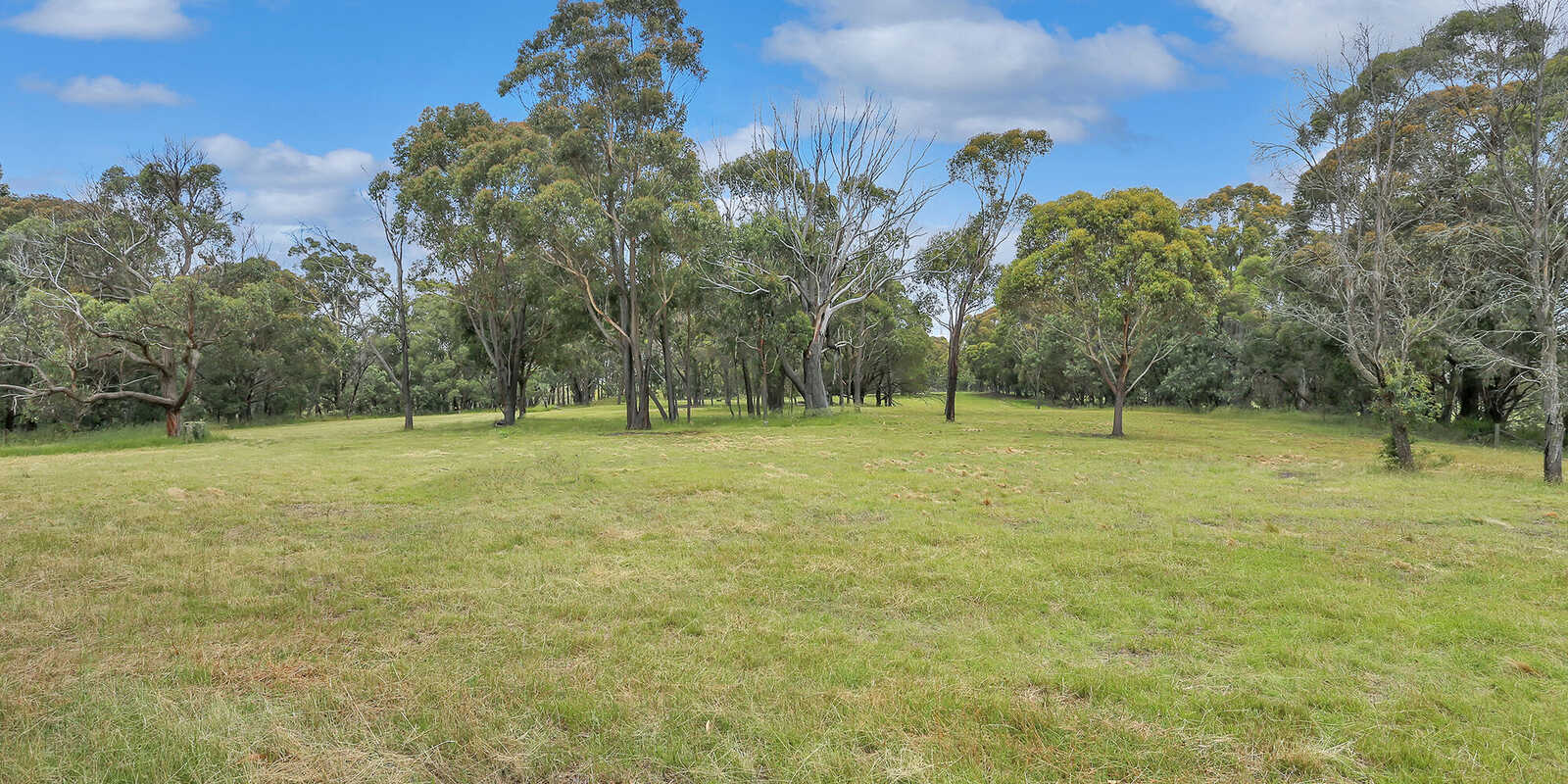 155 Foxgrove Road Canyonleigh 155 Foxgrove Road Canyonleigh