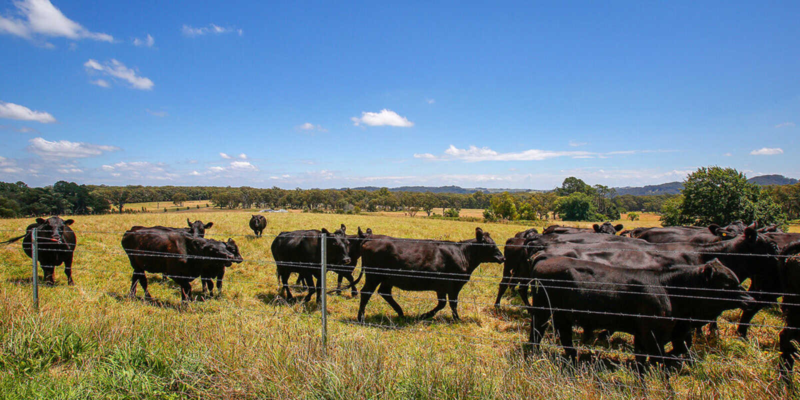 677 Nowra Road Moss Vale 677 Nowra Road Moss Vale