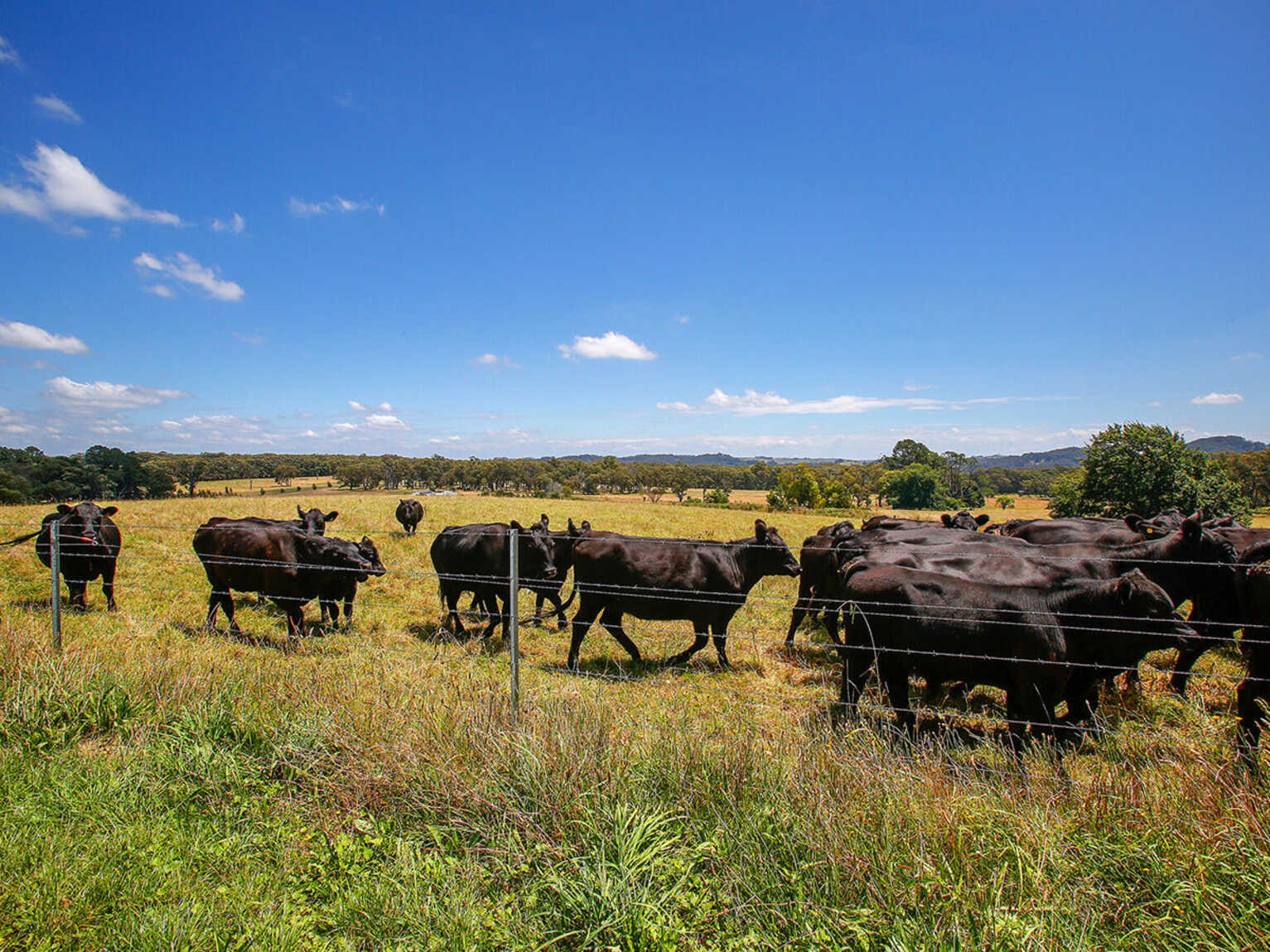 677 Nowra Road Moss Vale 677 Nowra Road Moss Vale