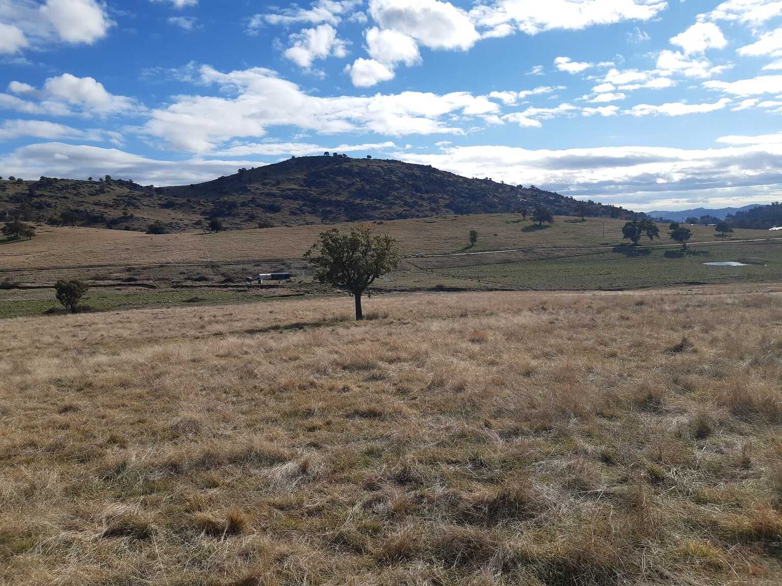  Mount Darling Road Wyangala