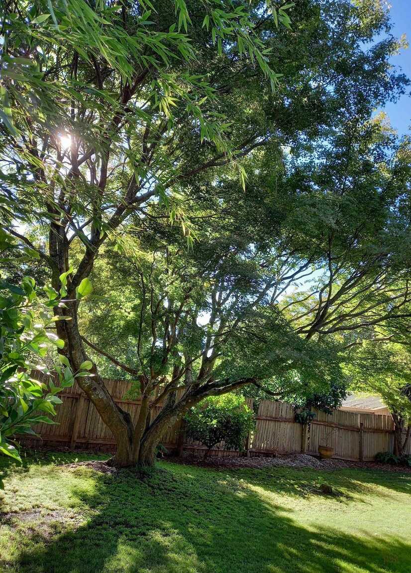 16 Viewland Street Bundanoon