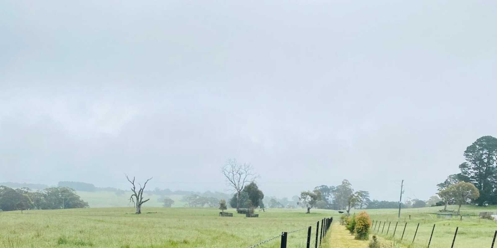 22 Sawyers Ridge Road Reidsdale 22 Sawyers Ridge Road Reidsdale