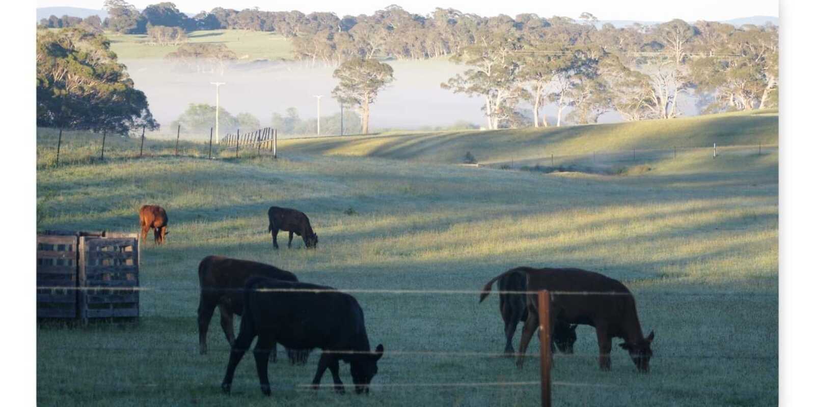 22 Sawyers Ridge Road Reidsdale 22 Sawyers Ridge Road Reidsdale