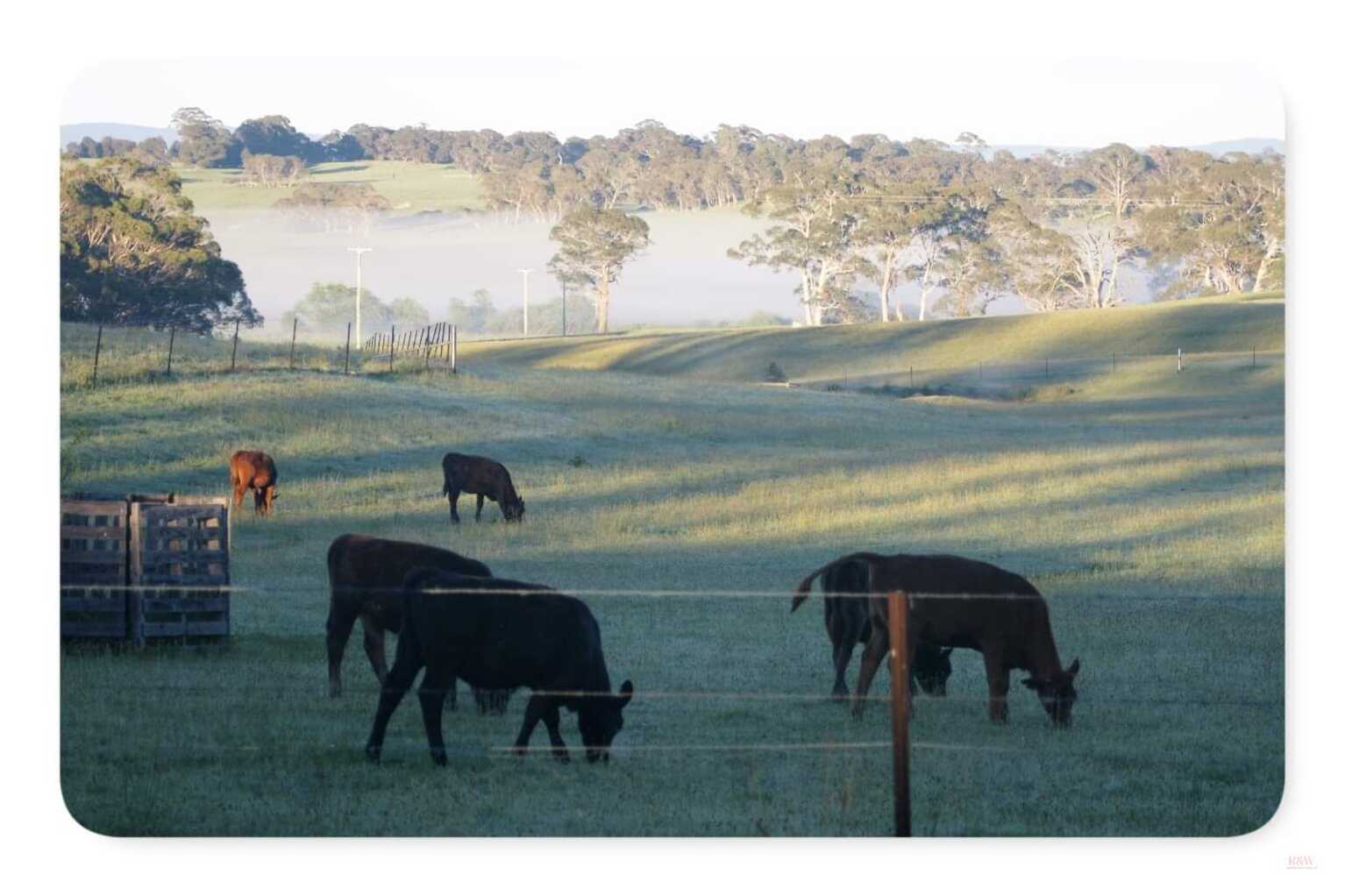 22 Sawyers Ridge Road Reidsdale 22 Sawyers Ridge Road Reidsdale