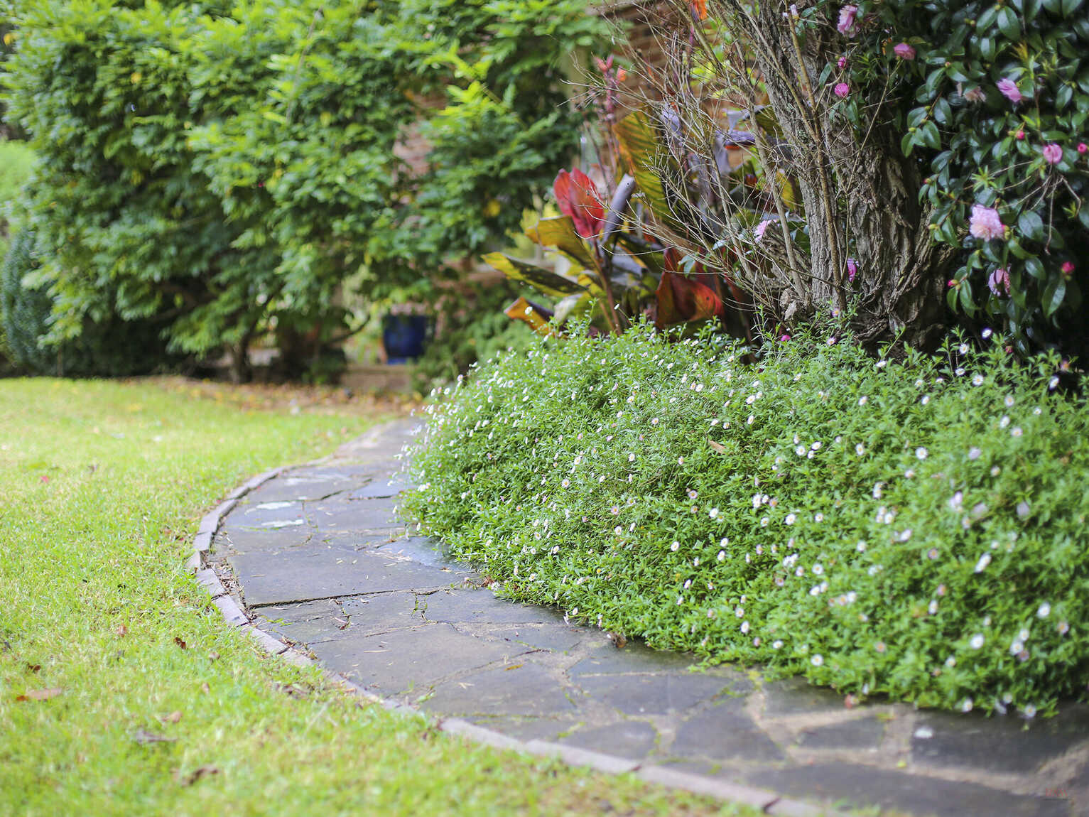 36 Erith Street Bundanoon