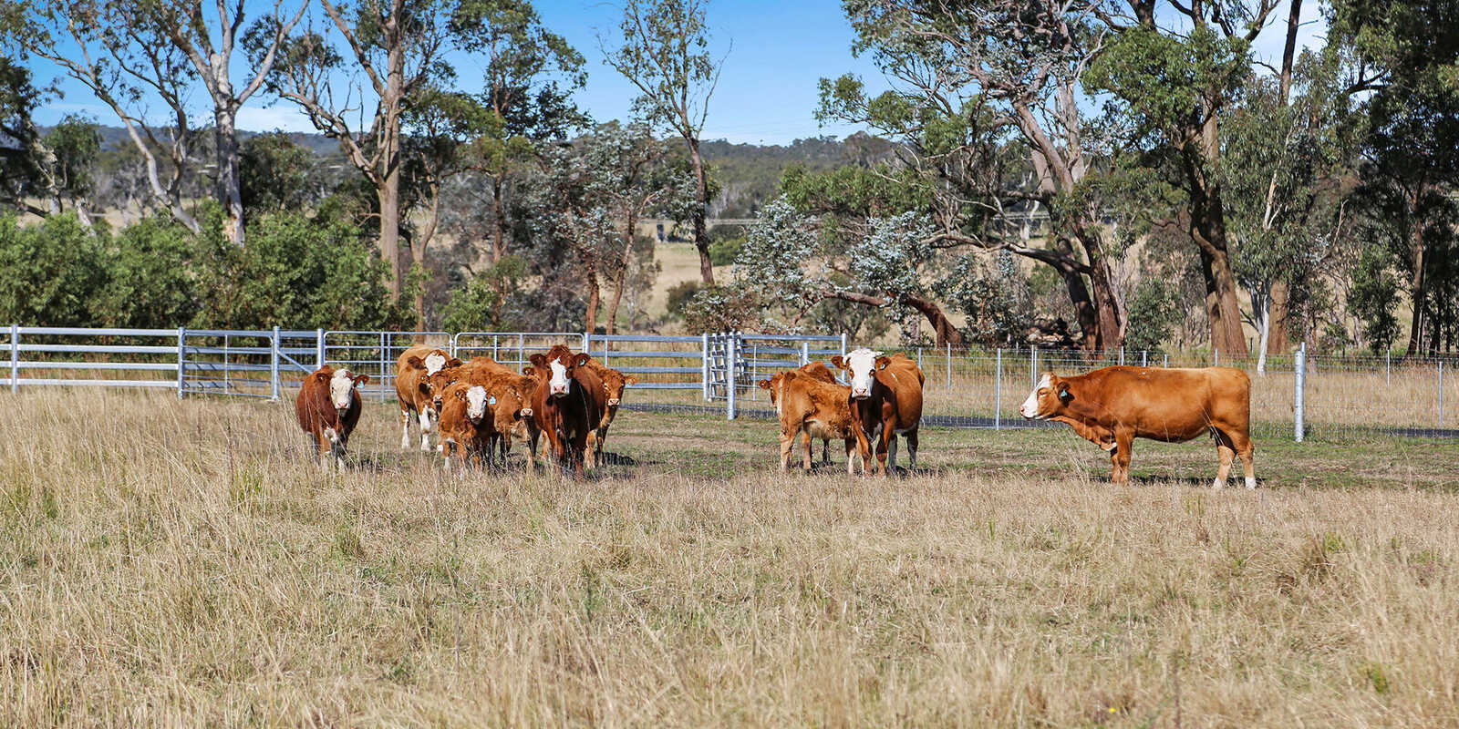 595 Inverary Road Paddys River