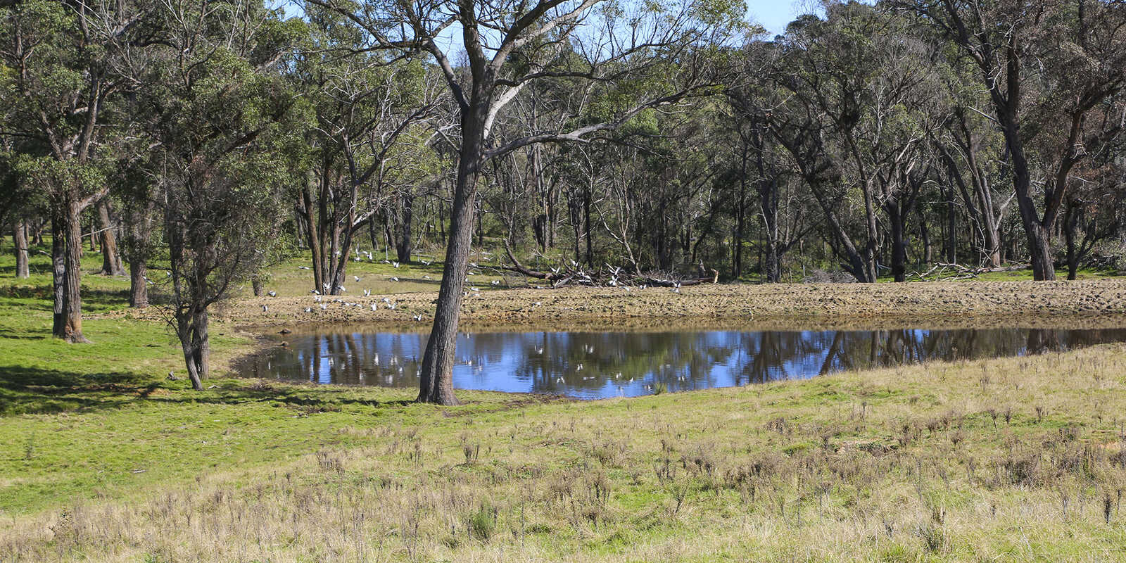 595 Inverary Road Paddys River