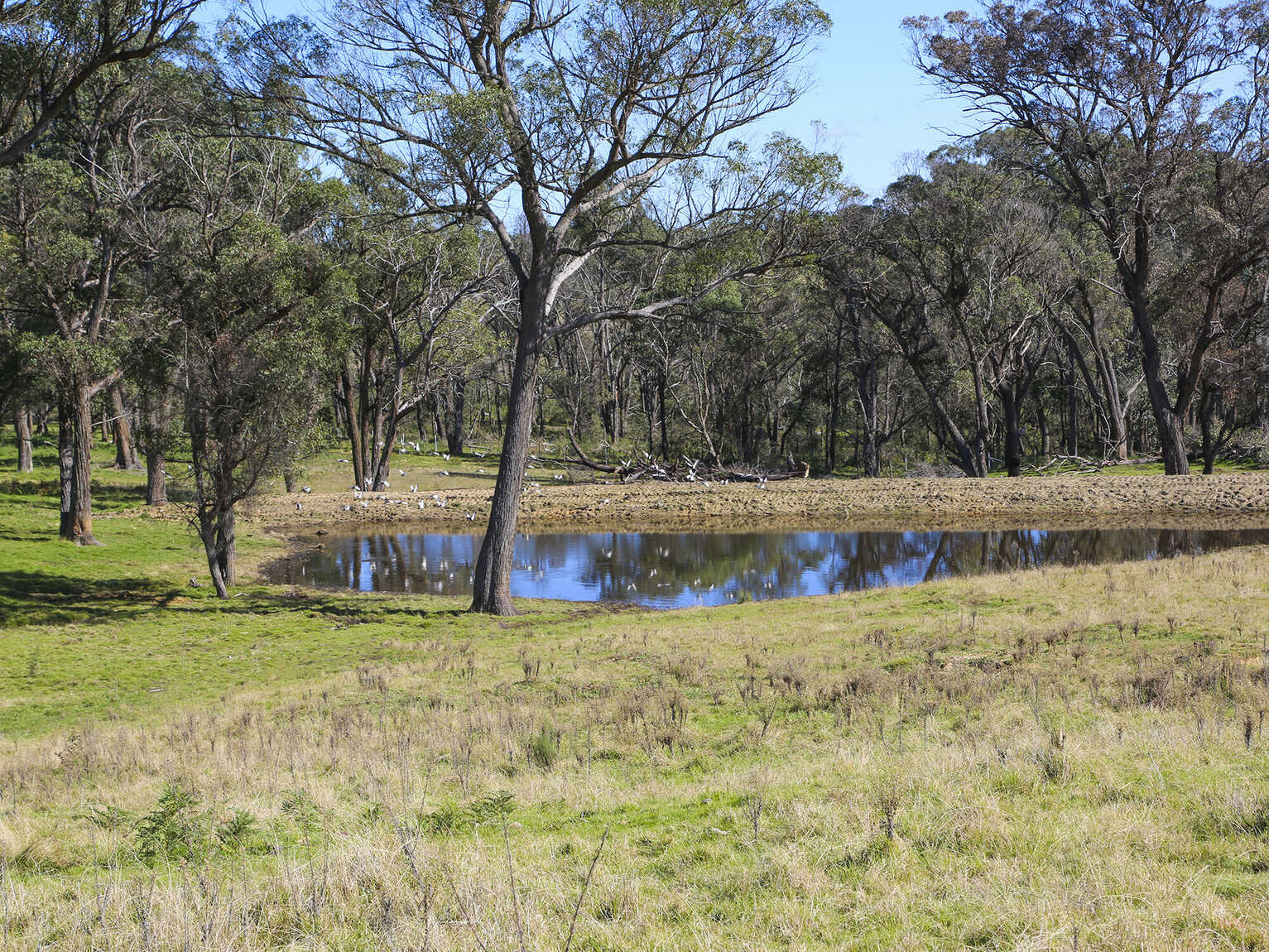 595 Inverary Road Paddys River