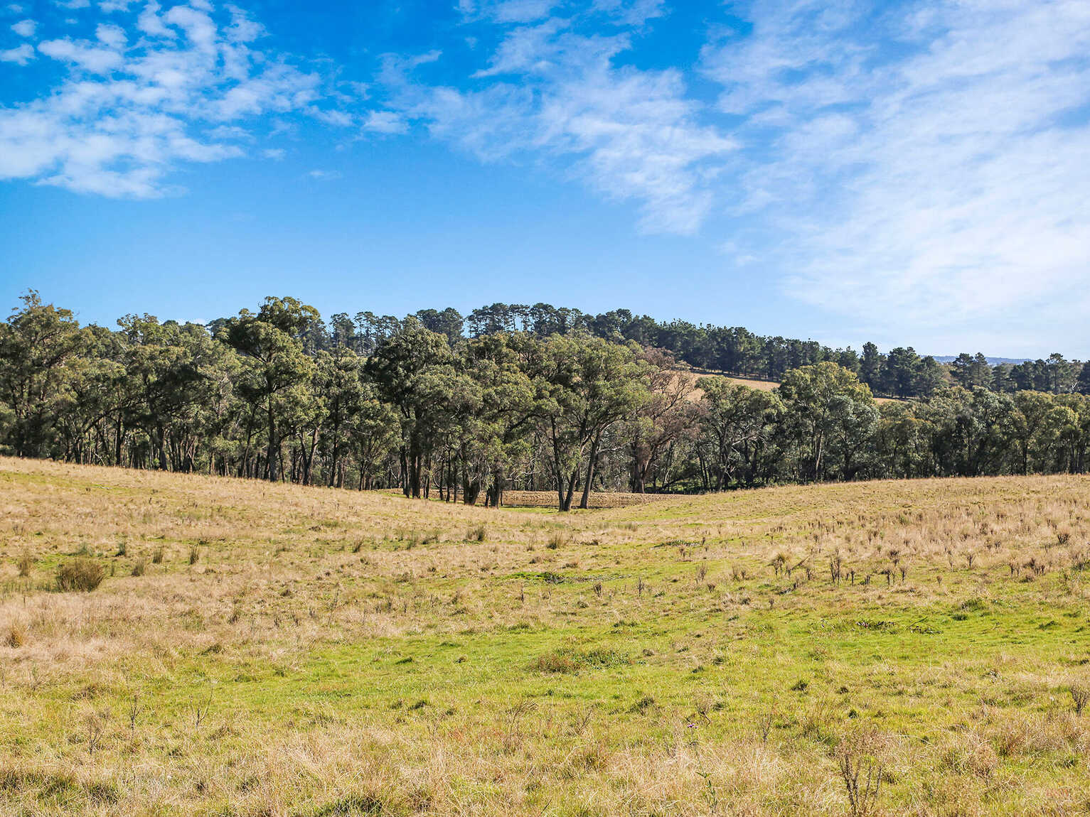 595 Inverary Road Paddys River