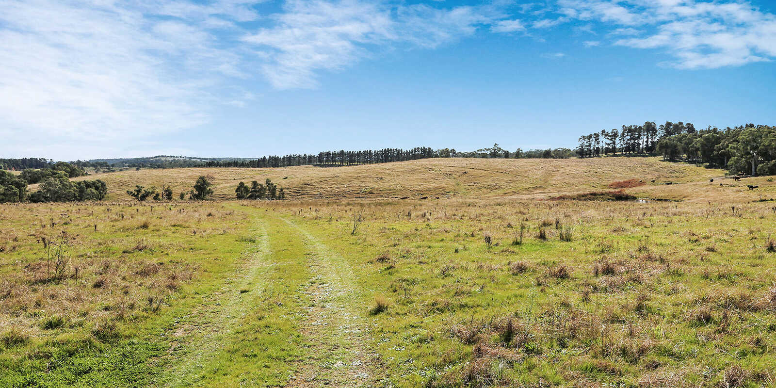 595 Inverary Road Paddys River