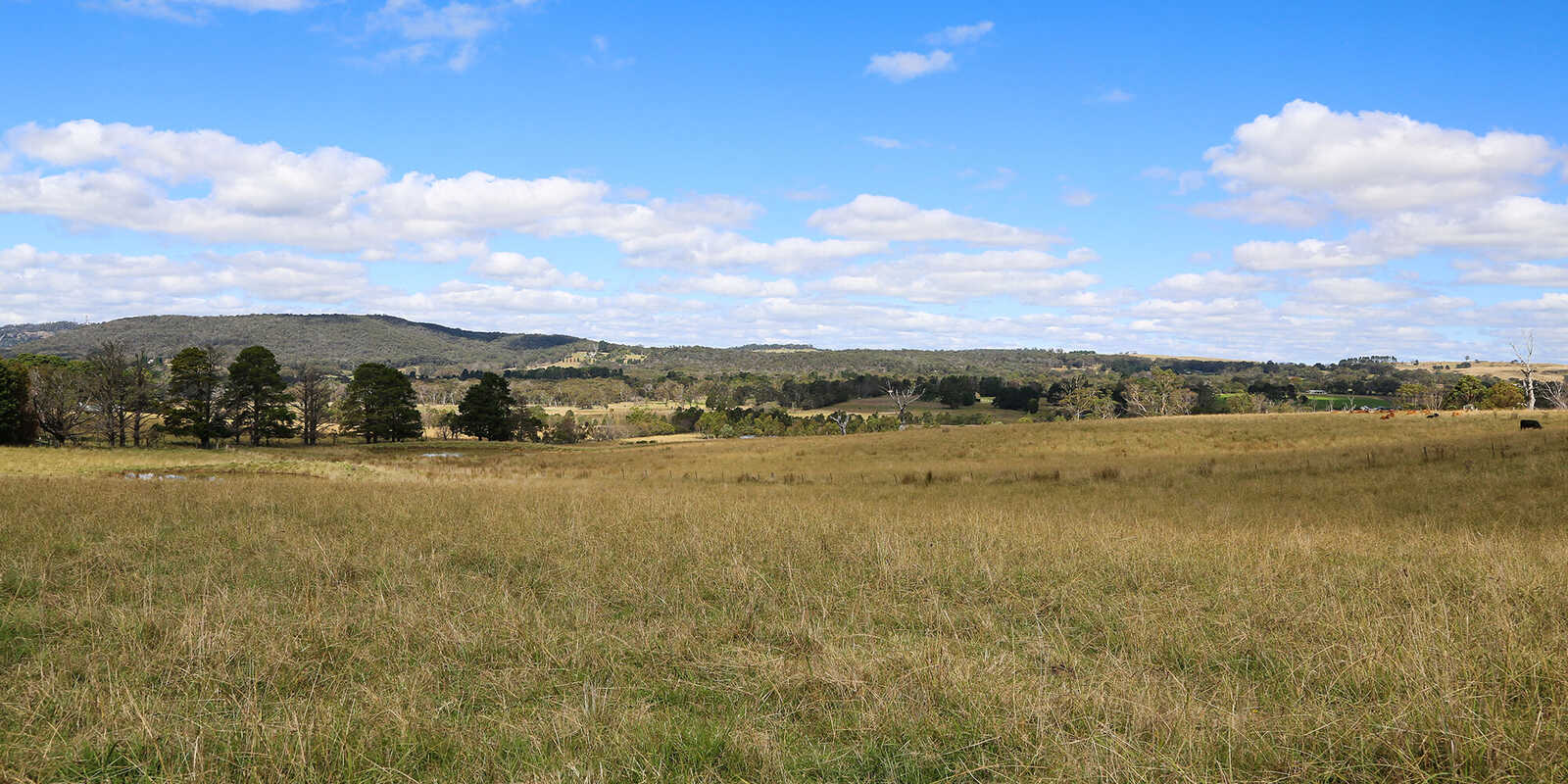 245 Wombeyan Caves Road Woodlands 245 Wombeyan Caves Road Woodlands