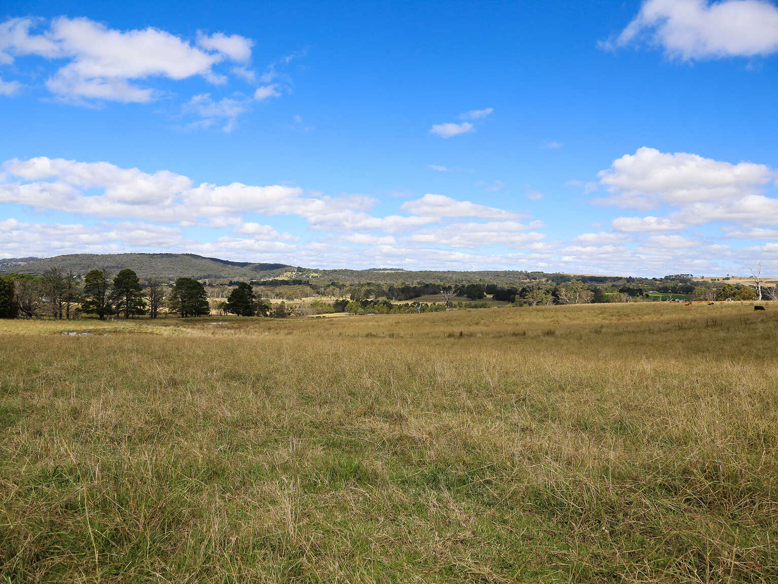 245 Wombeyan Caves Road Woodlands 245 Wombeyan Caves Road Woodlands