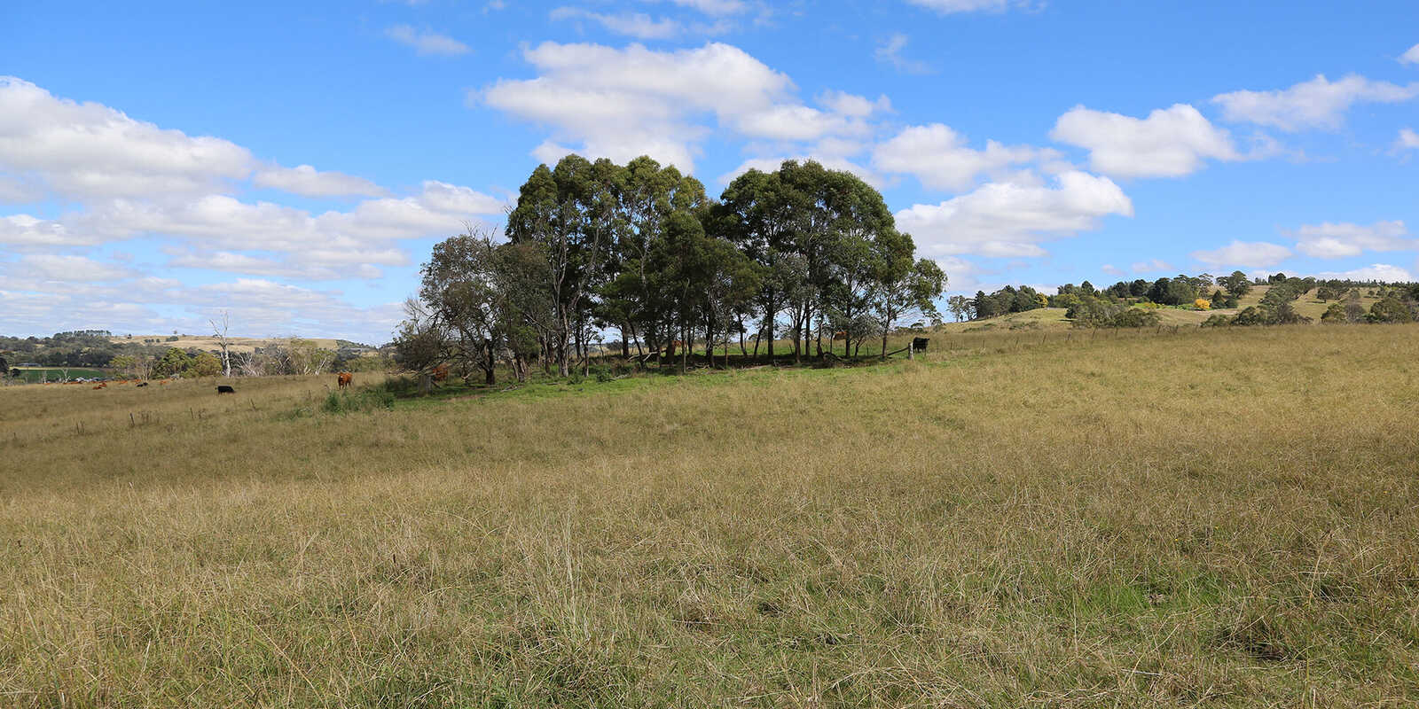 245 Wombeyan Caves Road Woodlands 245 Wombeyan Caves Road Woodlands