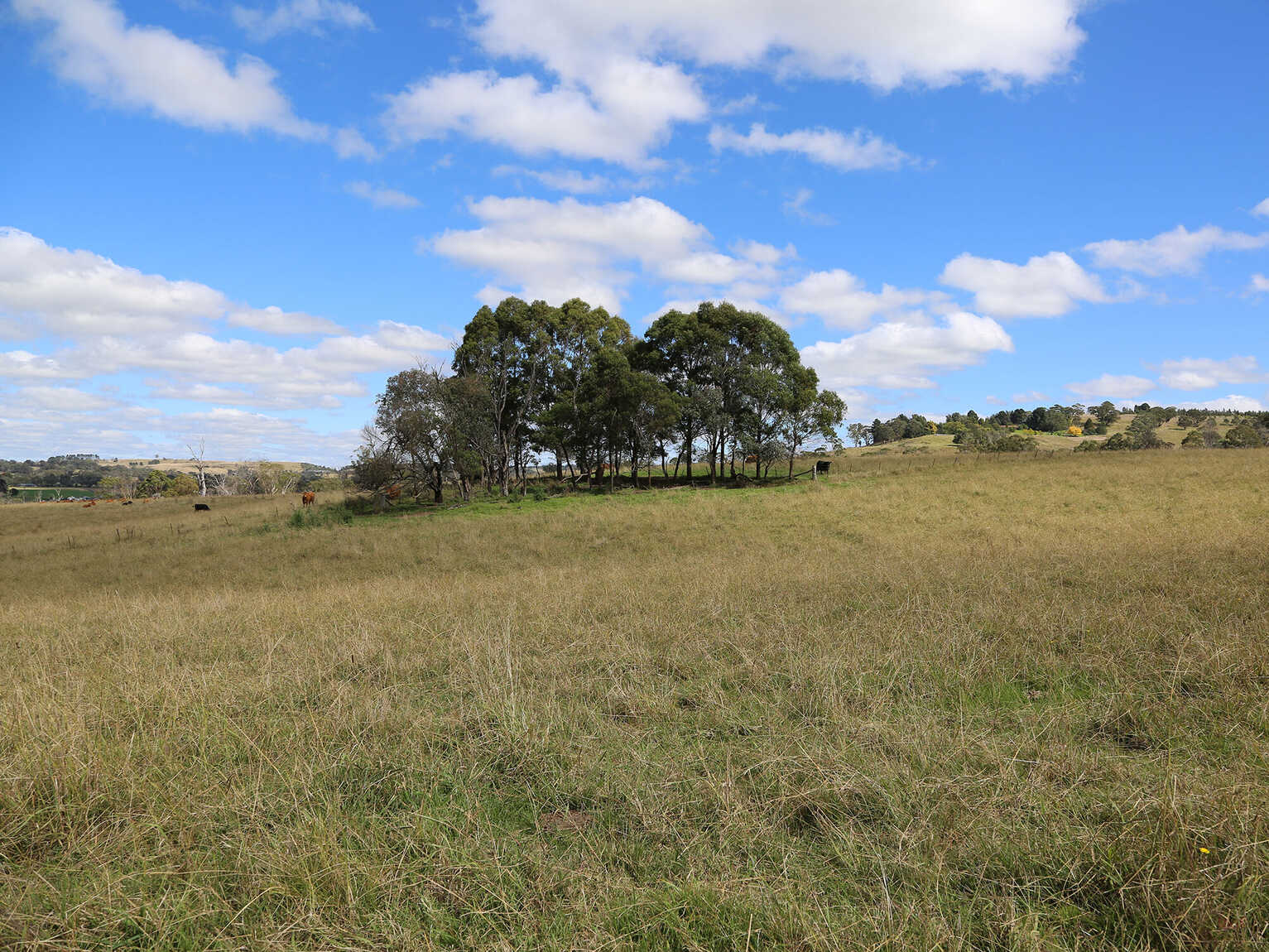 245 Wombeyan Caves Road Woodlands 245 Wombeyan Caves Road Woodlands