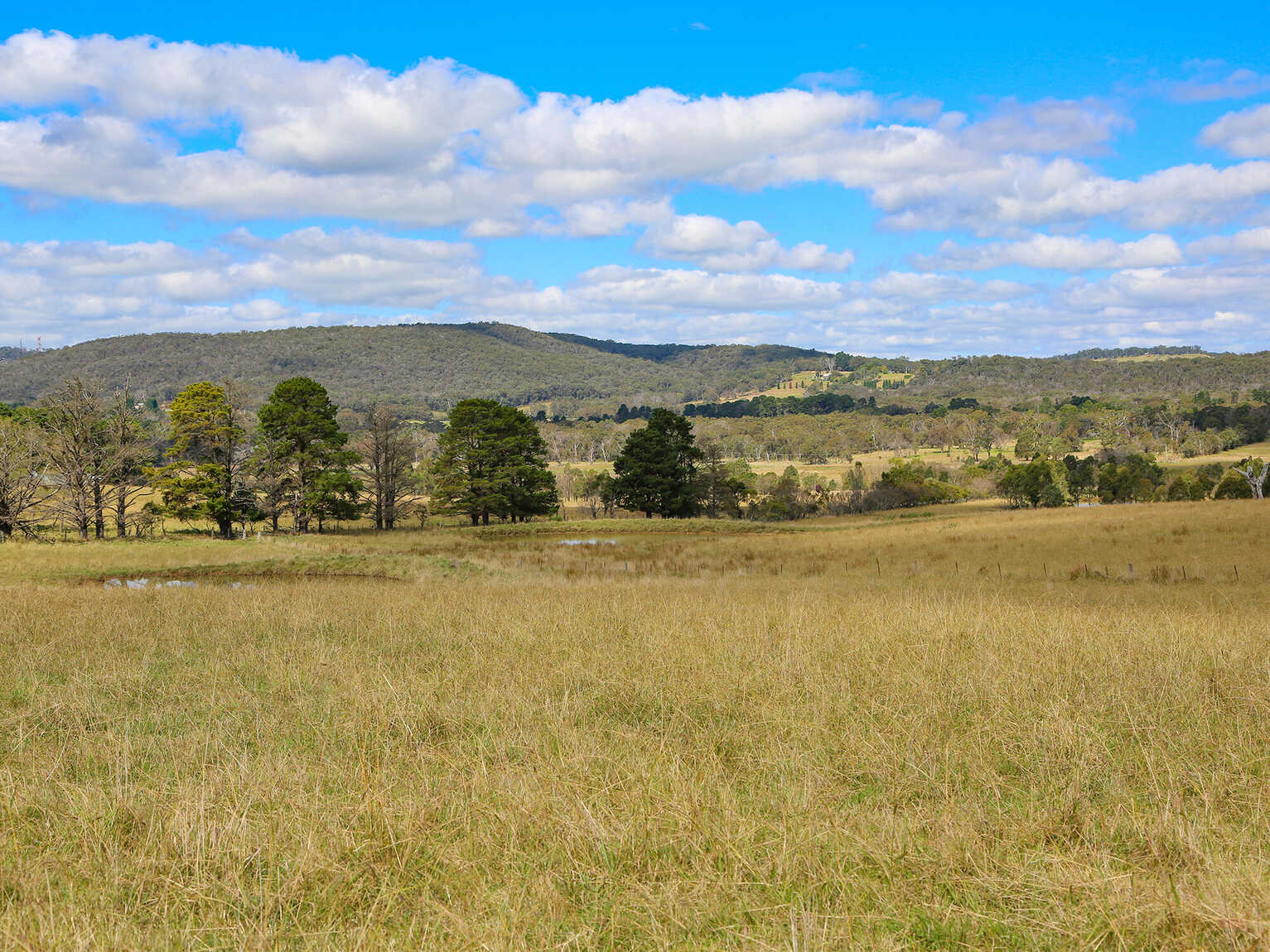 245 Wombeyan Caves Road Woodlands 245 Wombeyan Caves Road Woodlands