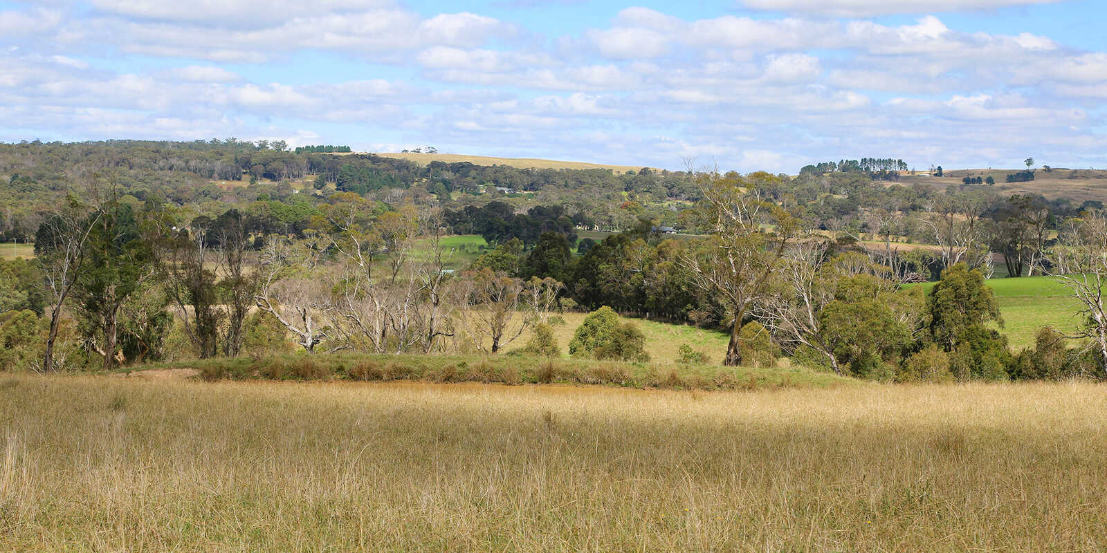 245 Wombeyan Caves Road Woodlands 245 Wombeyan Caves Road Woodlands