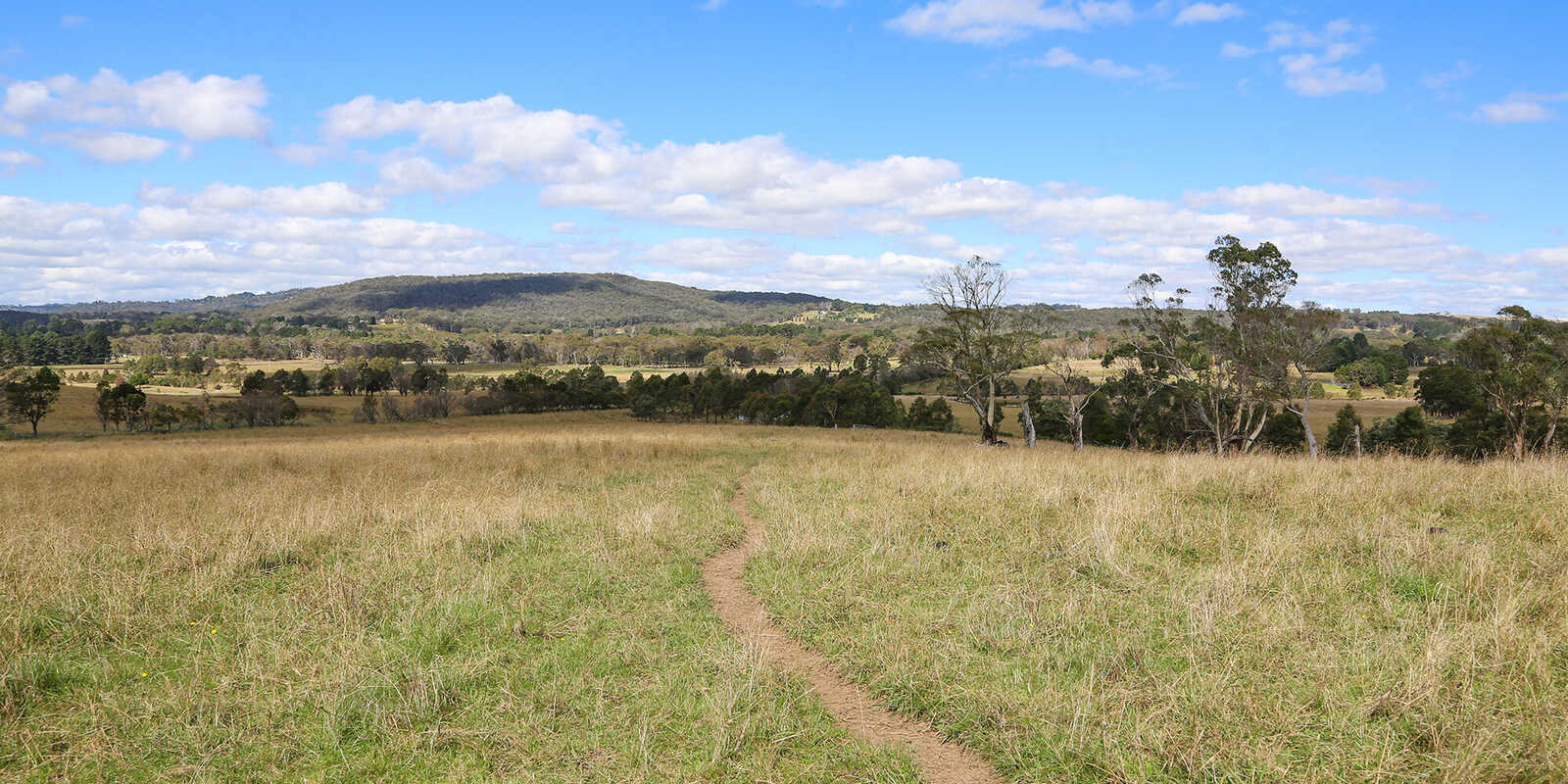 245 Wombeyan Caves Road Woodlands 245 Wombeyan Caves Road Woodlands