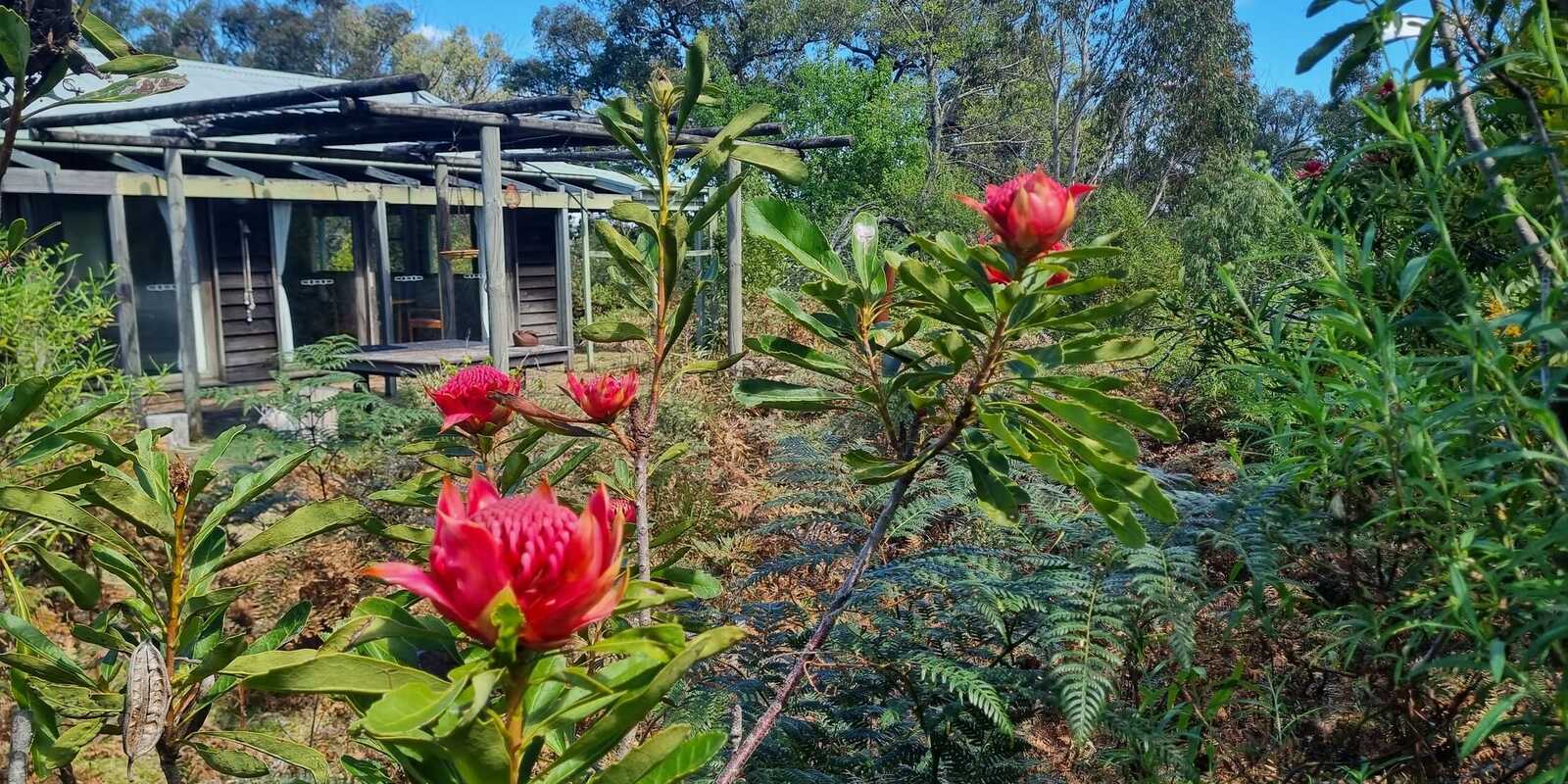 212 Teudts Road Penrose
