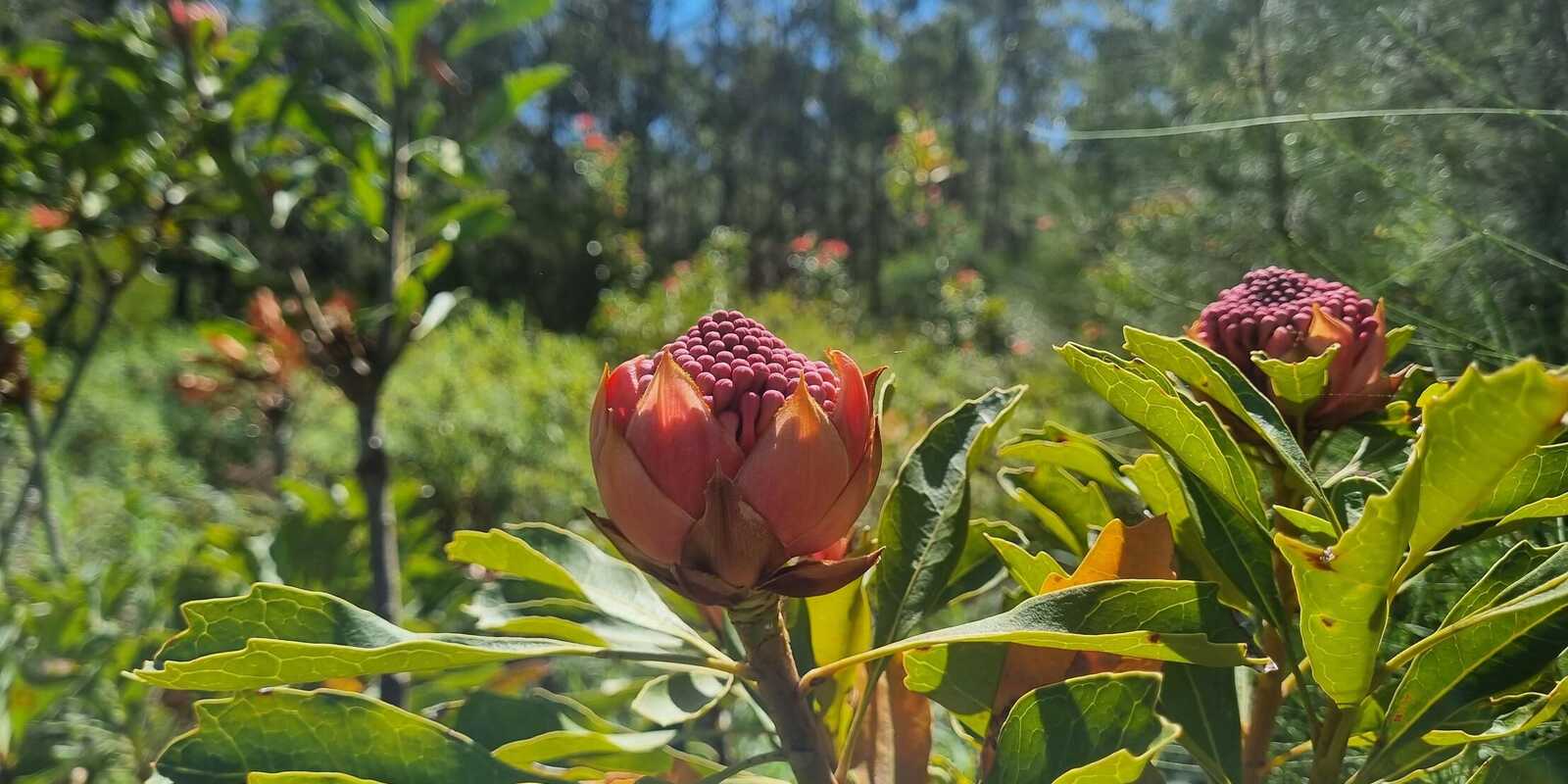 212 Teudts Road Penrose