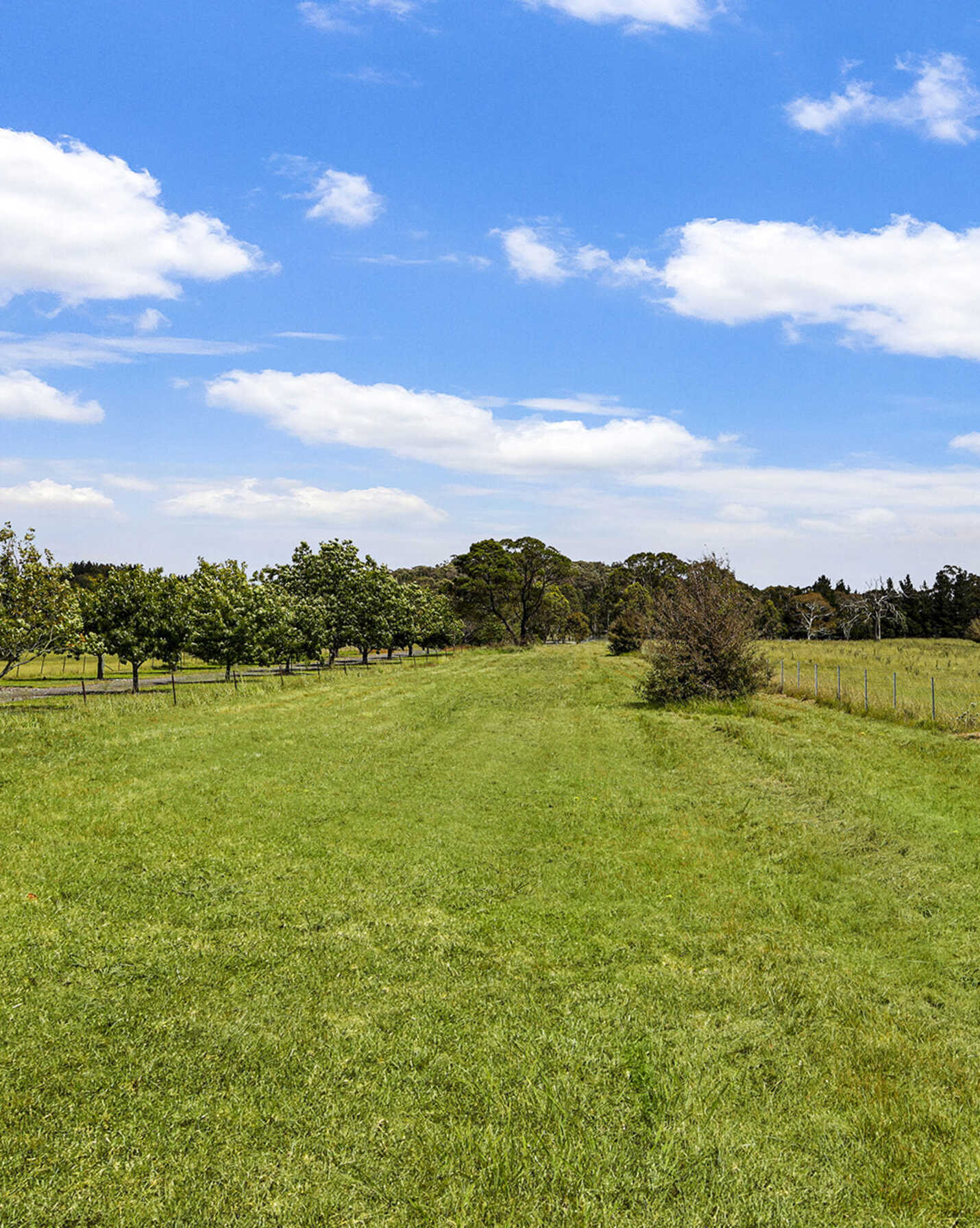 181 Inverary Road Bungonia, Bungonia - Thumbnail 4