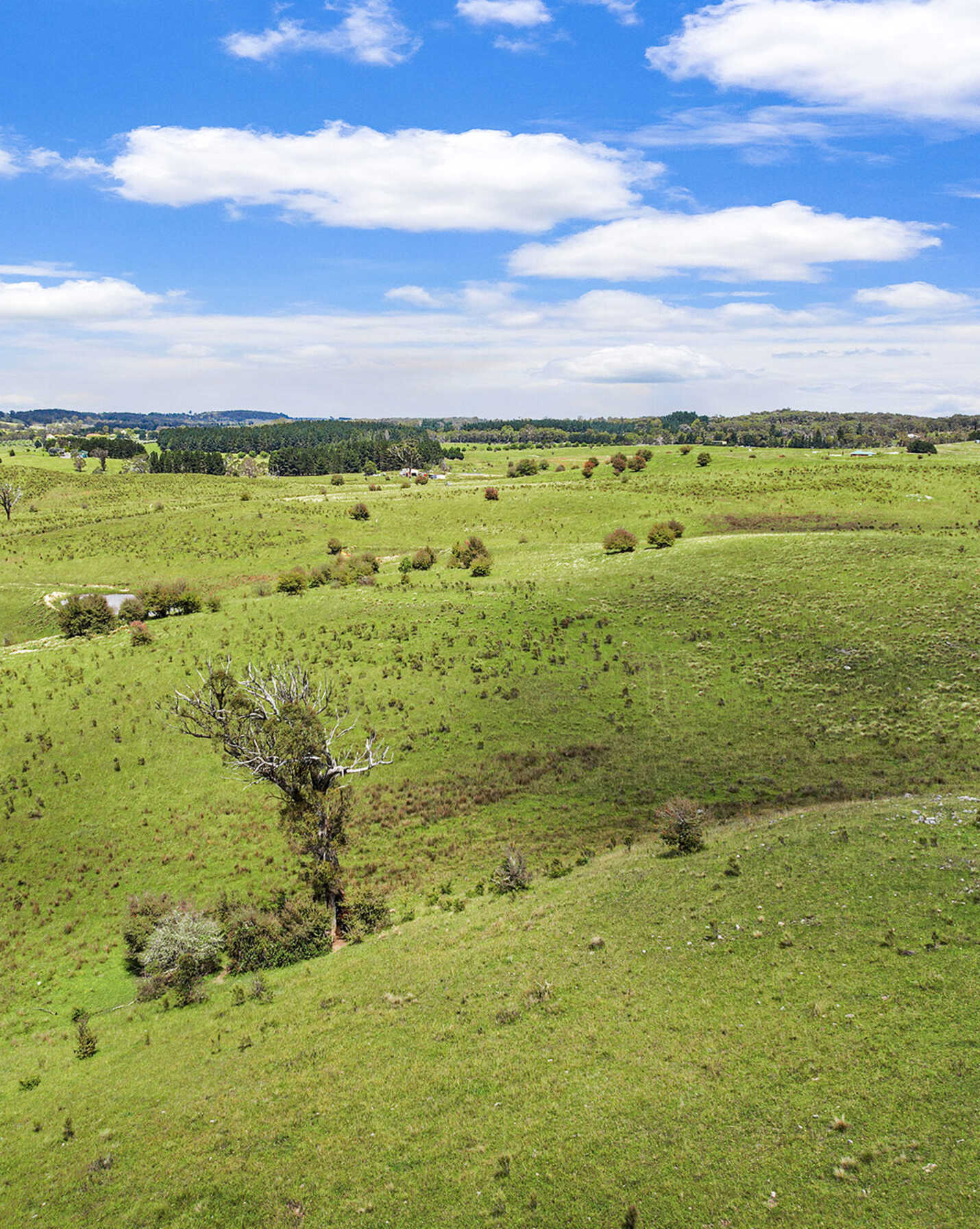 181 Inverary Road Bungonia, Bungonia - Thumbnail 7