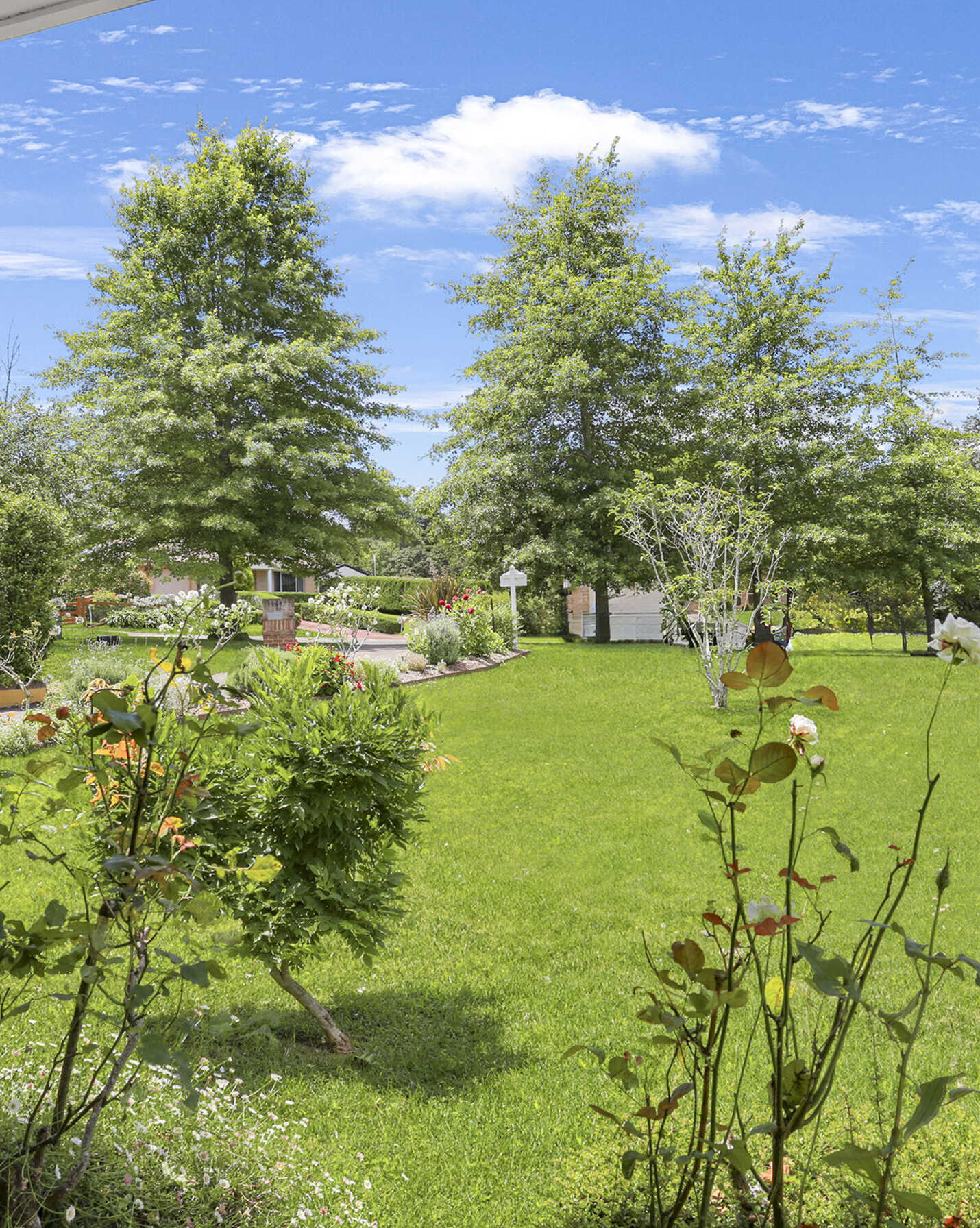 6 Harriet Walk Bundanoon, Bundanoon - Thumbnail 7