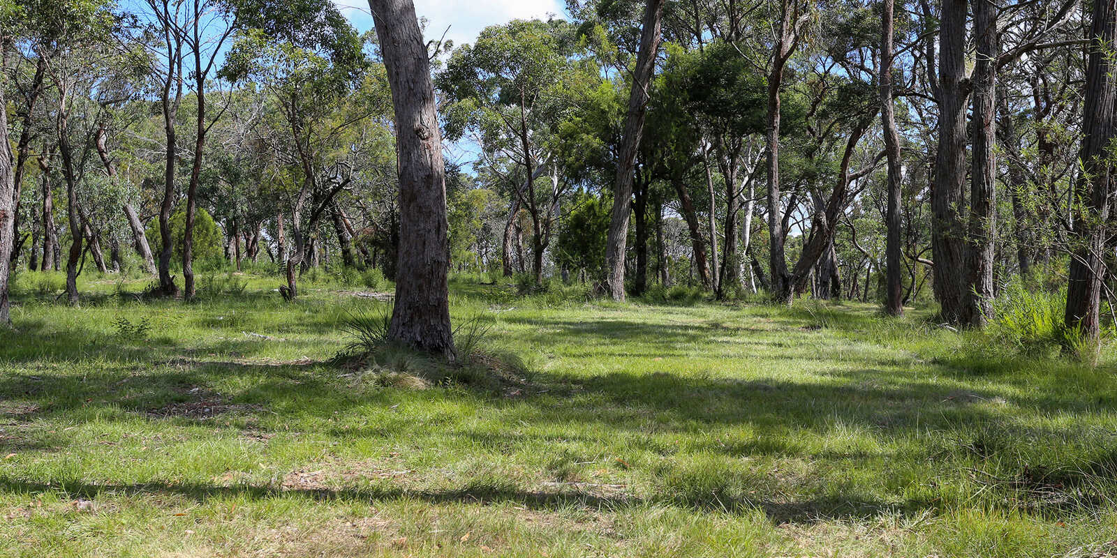 19 Wilkinson Street Berrima 19 Wilkinson Street Berrima