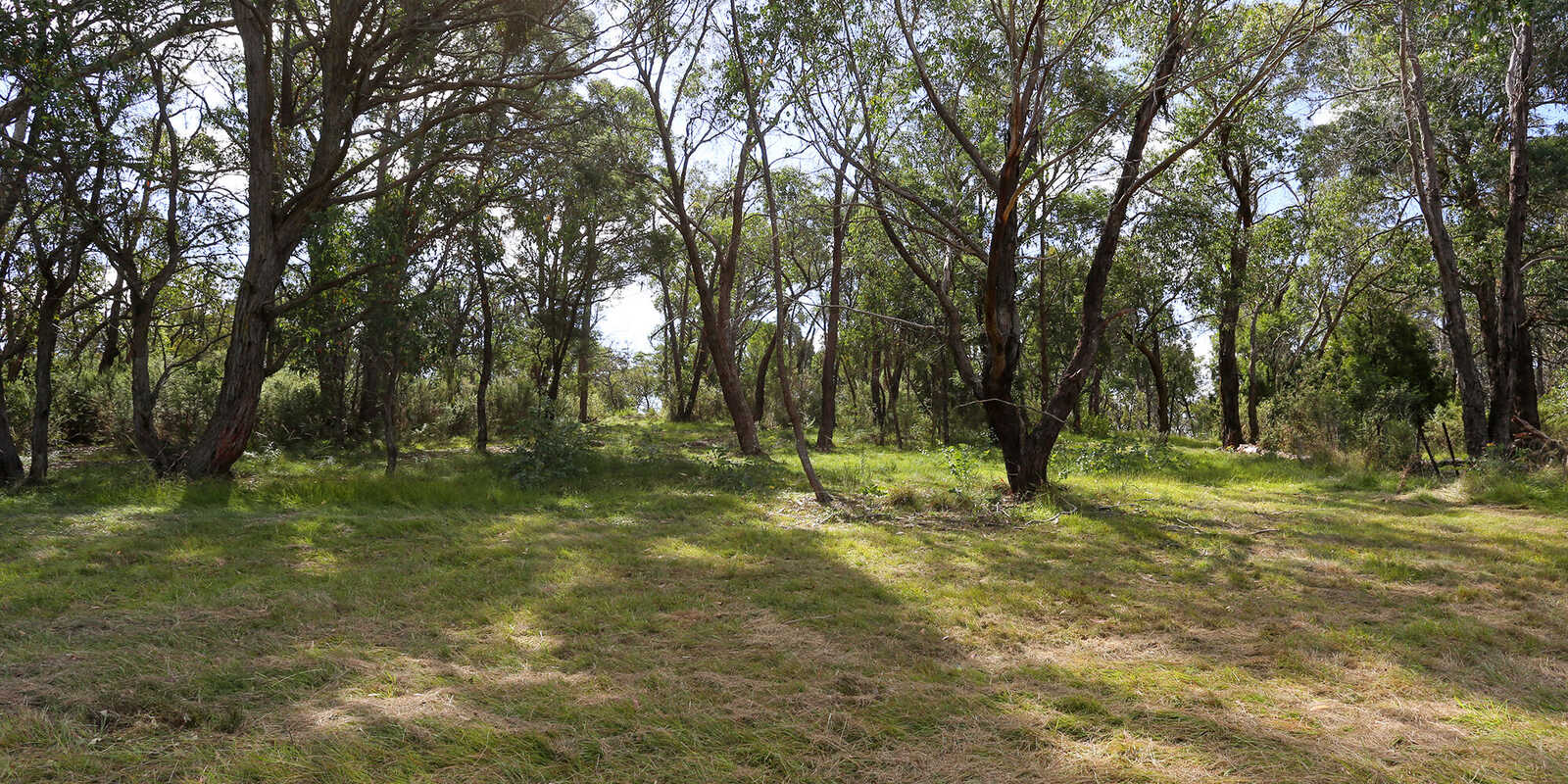 19 Wilkinson Street Berrima 19 Wilkinson Street Berrima