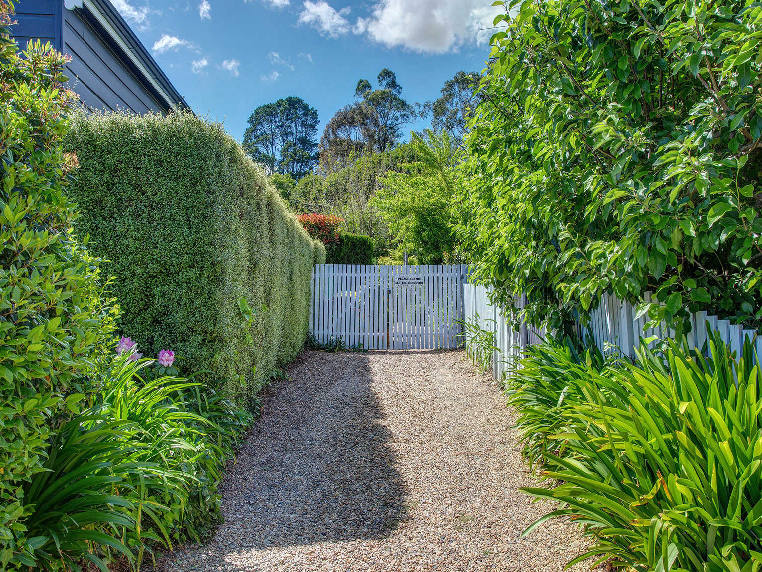 34 Throsby Street Moss Vale 34 Throsby Street Moss Vale