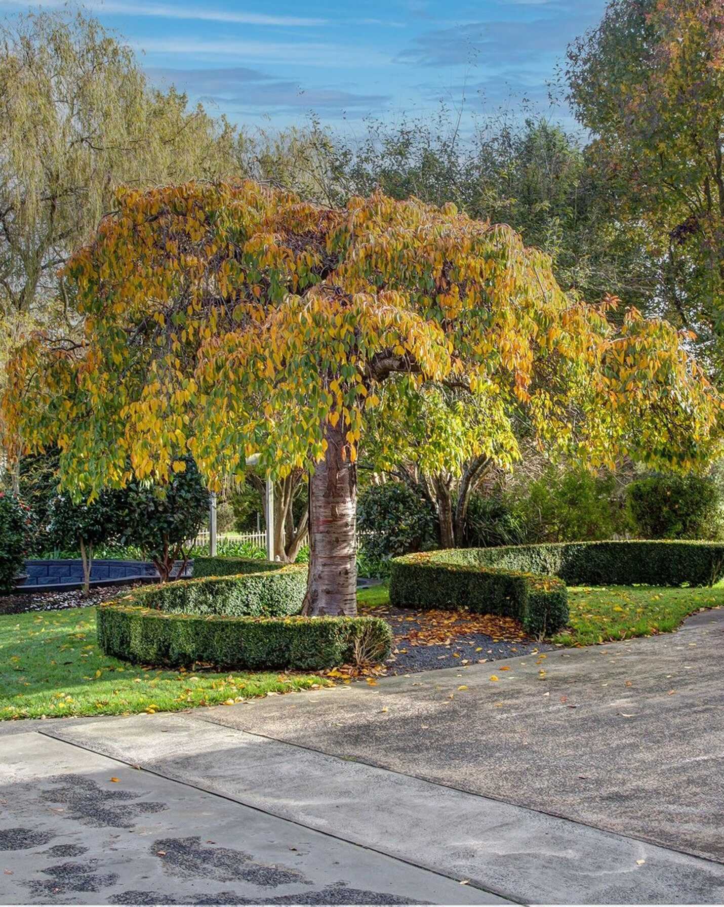 4 Rytina Place Moss Vale, Moss Vale - Thumbnail 3