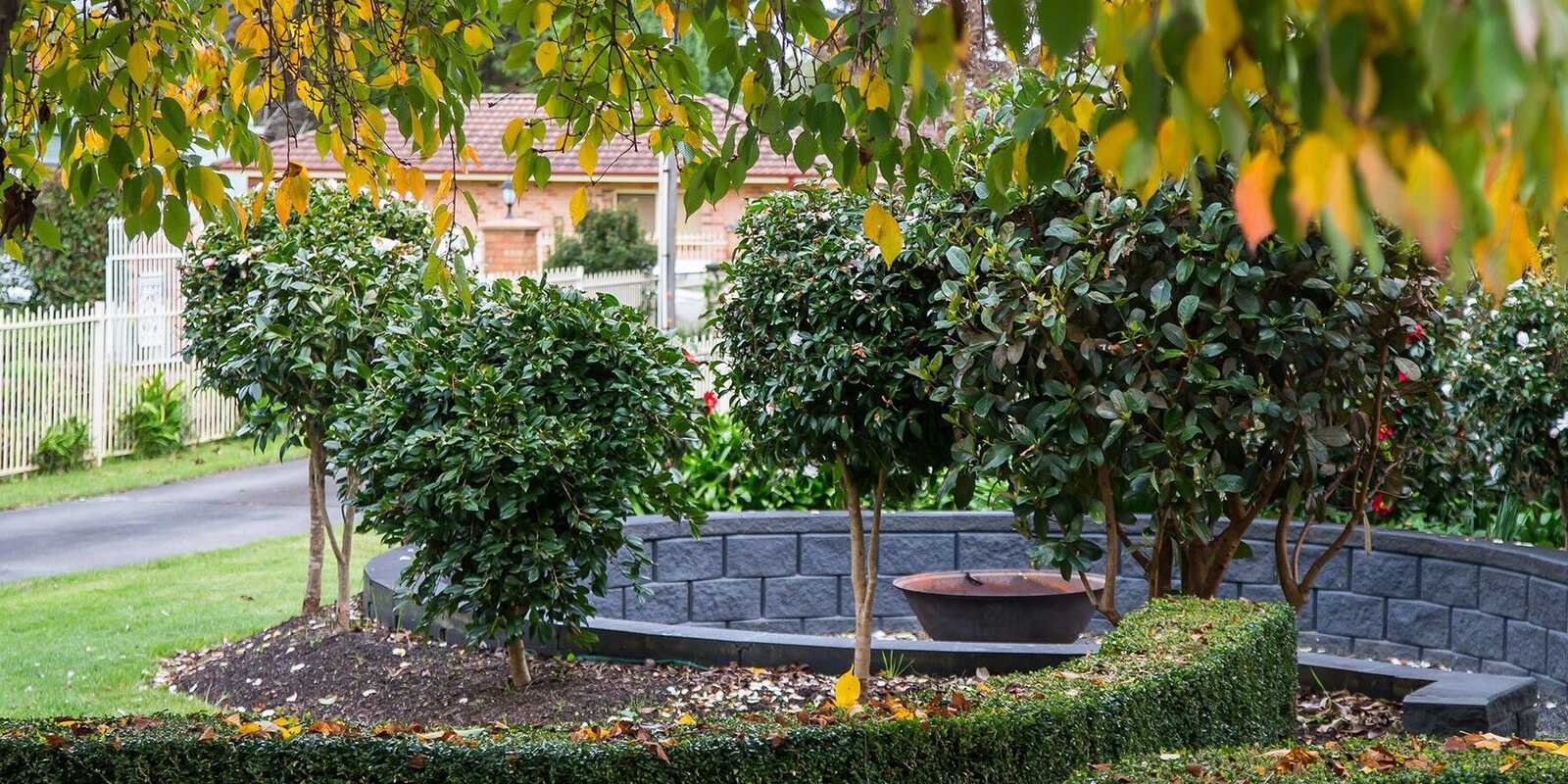 4 Rytina Place Moss Vale 4 Rytina Place Moss Vale