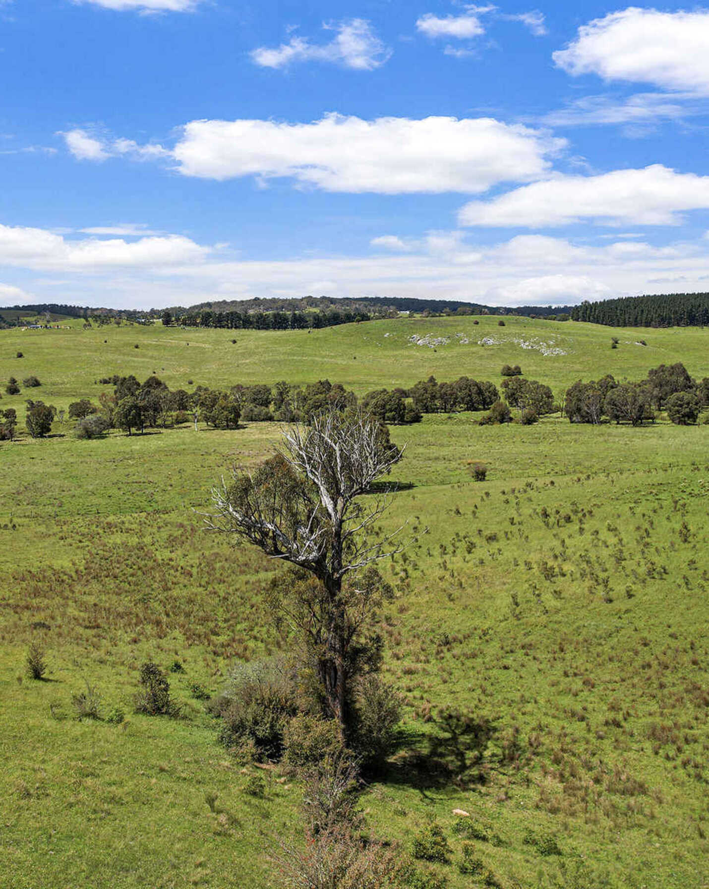 181 Inverary Road Bungonia, Bungonia - Thumbnail 5