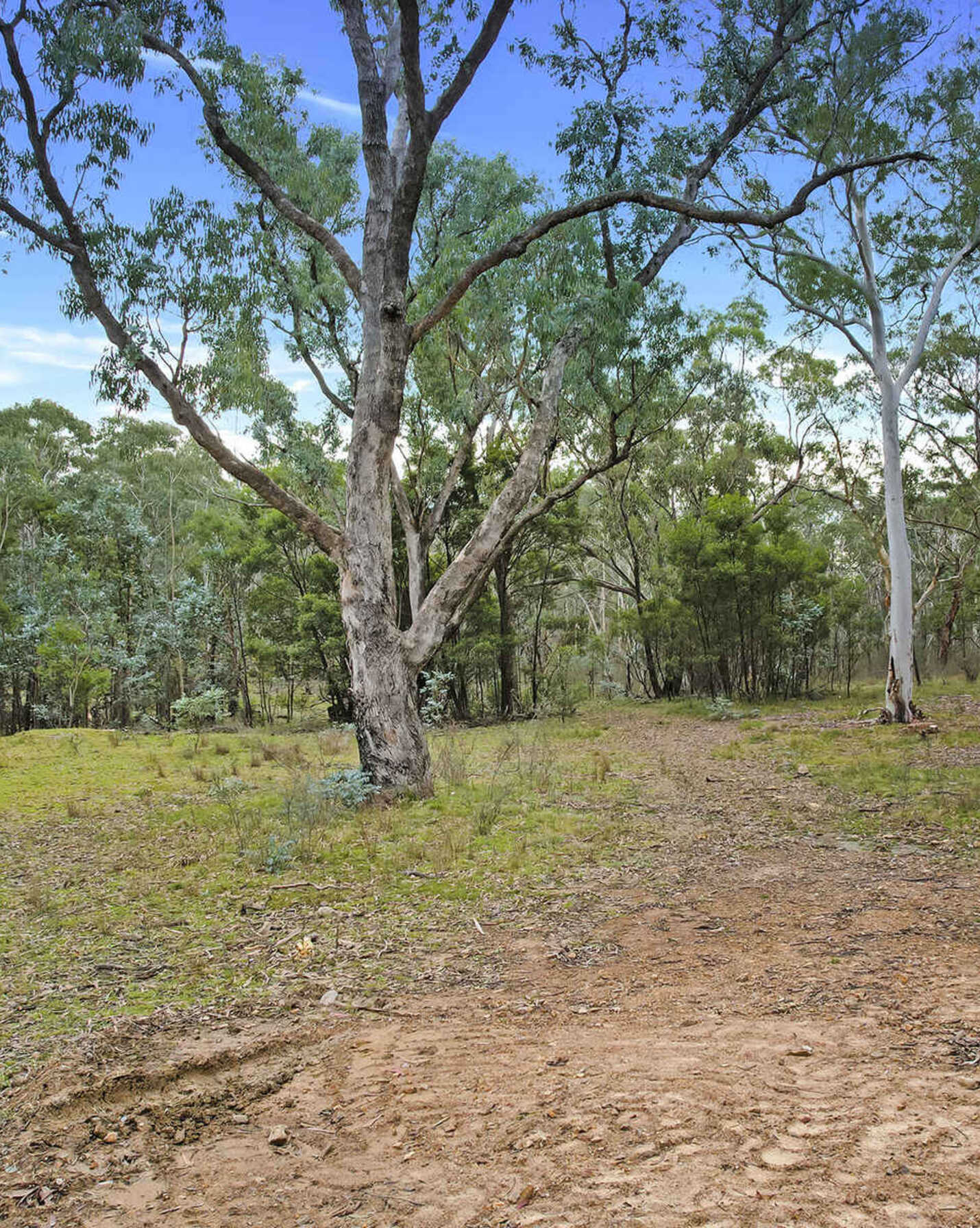 199 Tarlo River Road Greenwich Park, Park - Thumbnail 3