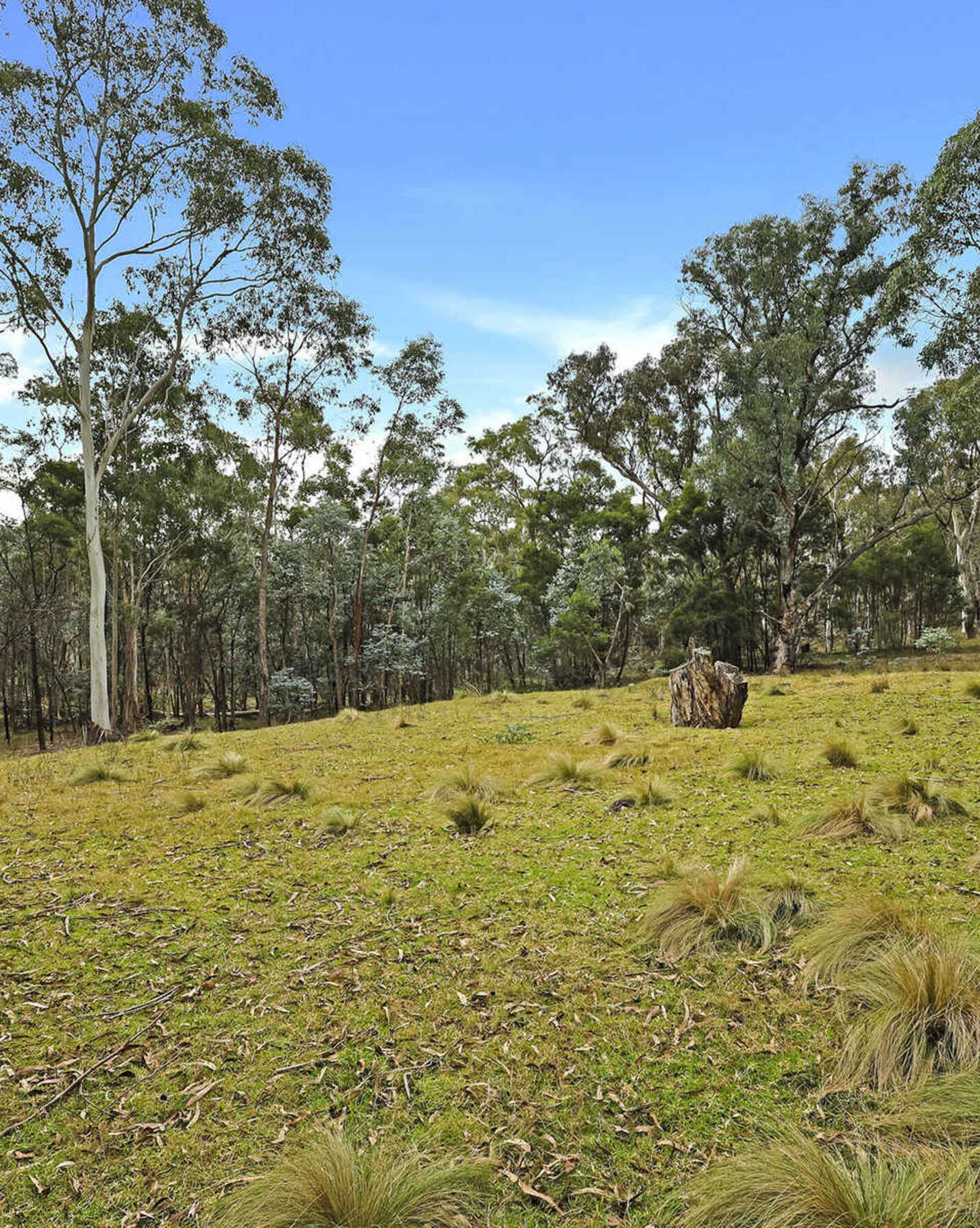 199 Tarlo River Road Greenwich Park, Park - Thumbnail 4