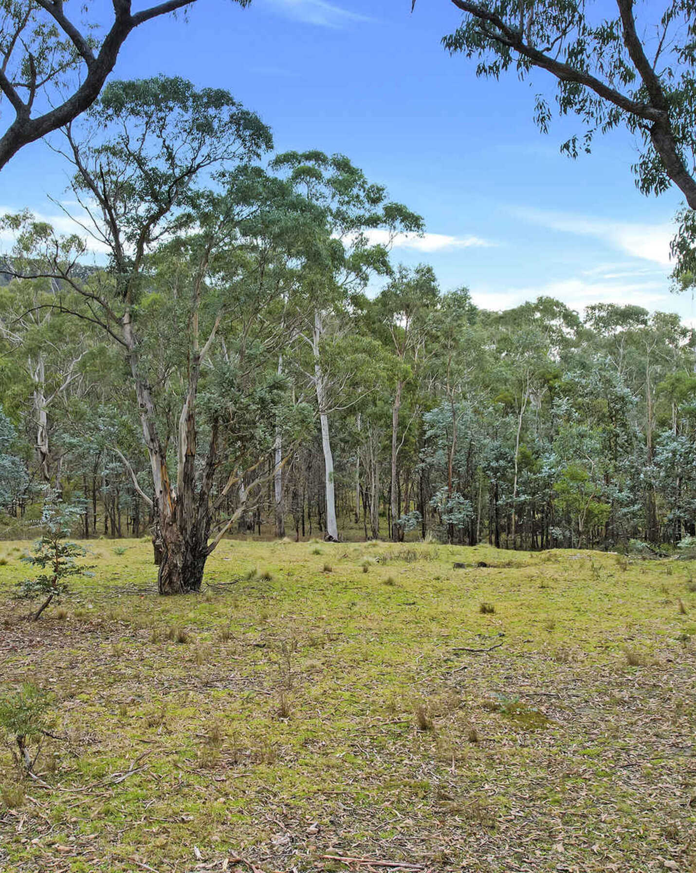 199 Tarlo River Road Greenwich Park, Park - Thumbnail 6