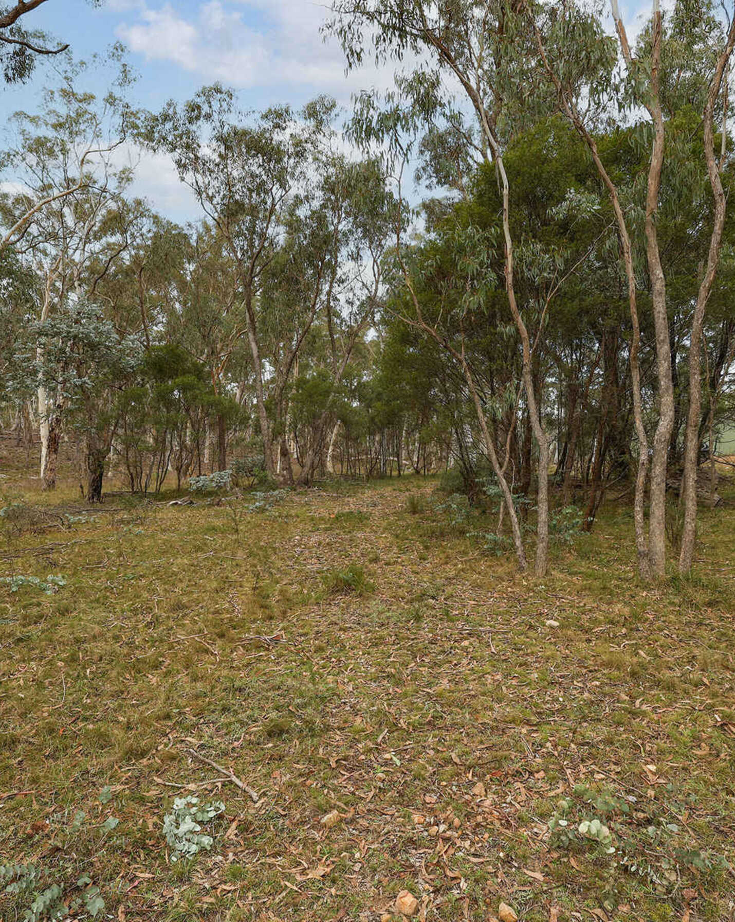 199 Tarlo River Road Greenwich Park, Park - Thumbnail 7
