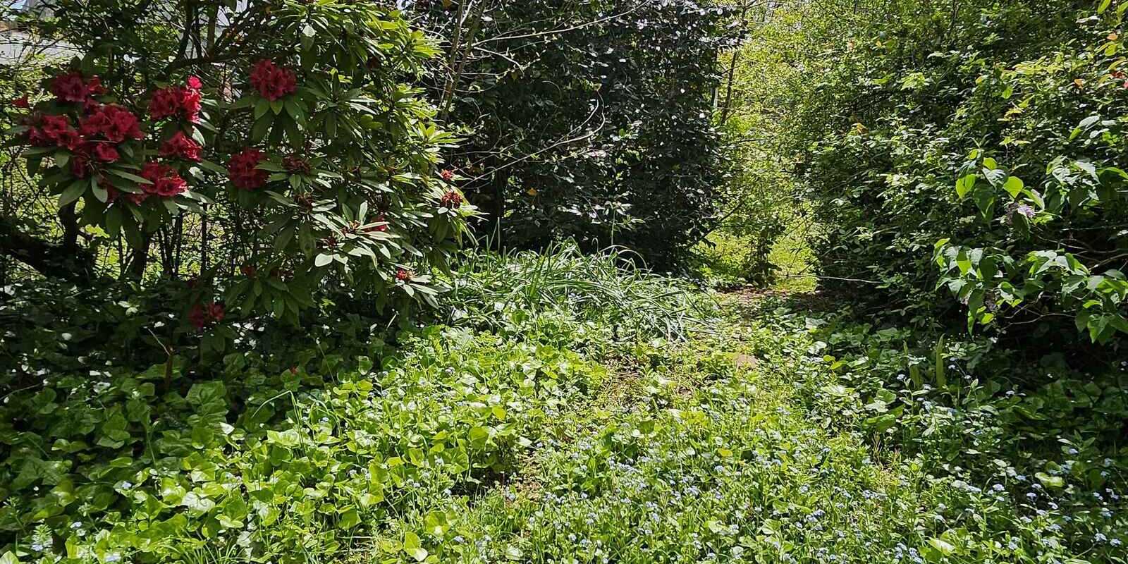 574 Ellsmore Road Exeter 574 Ellsmore Road Exeter