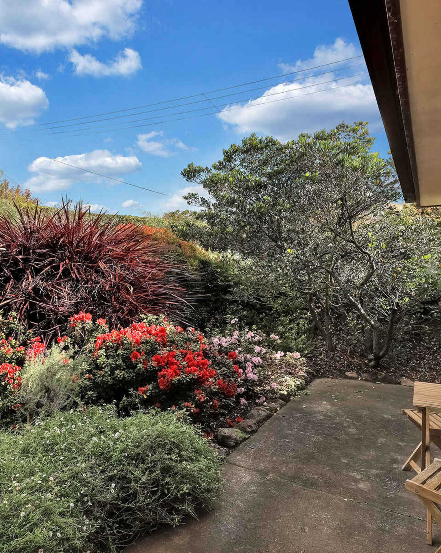 15 Price Street Moss Vale, Vale - Thumbnail 3
