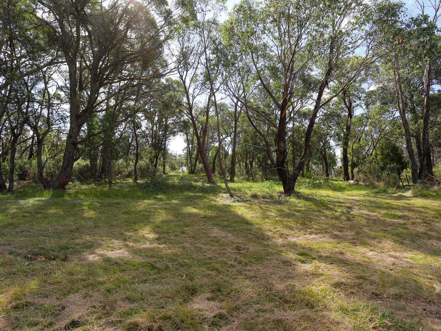 19 Wilkinson Street Berrima