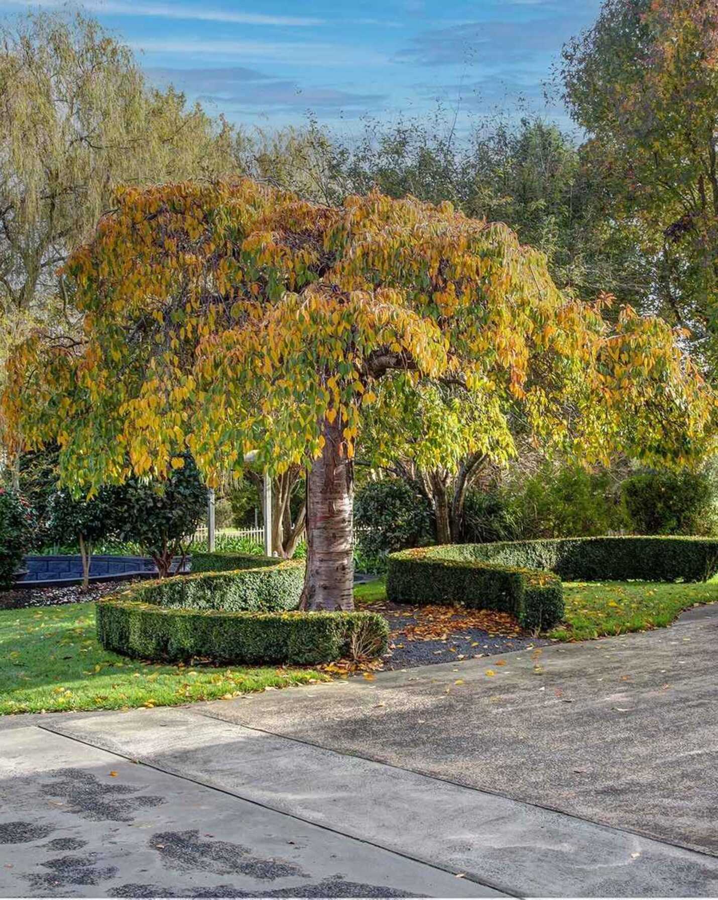 4 Rytina Place Moss Vale, Vale - Thumbnail 3