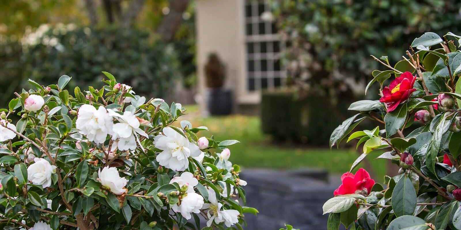 4 Rytina Place Moss Vale 4 Rytina Place Moss Vale