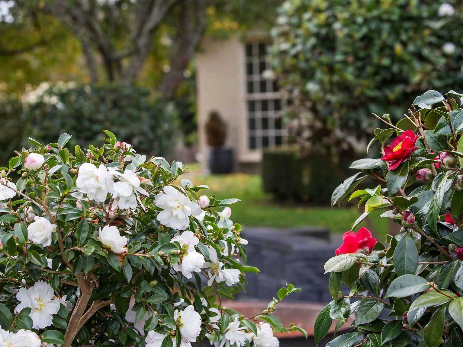 4 Rytina Place Moss Vale 4 Rytina Place Moss Vale