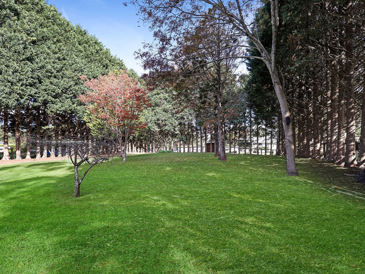15 Forwood Crescent Bundanoon 15 Forwood Crescent Bundanoon